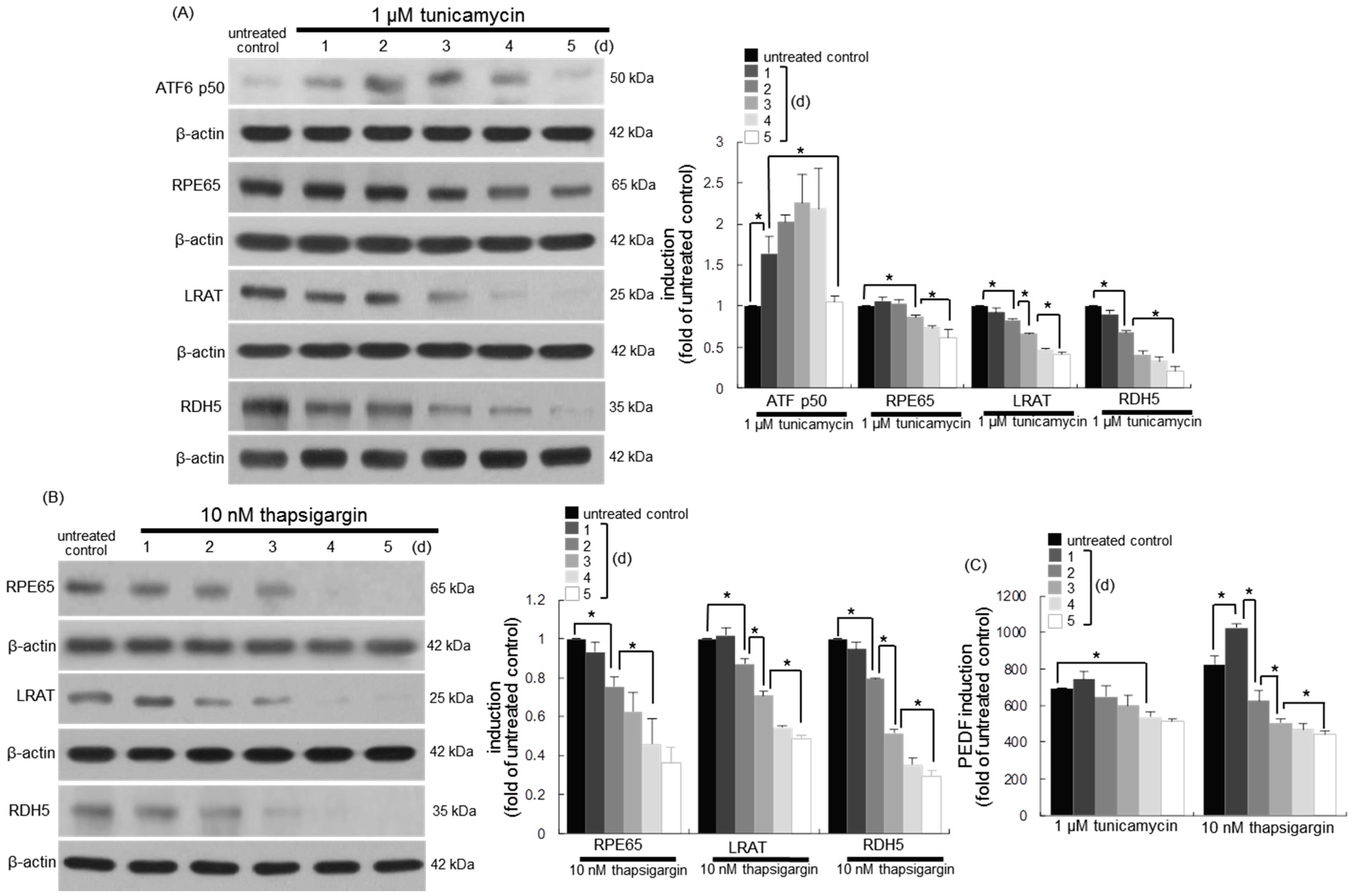 Nutrients 10 01046 g006
