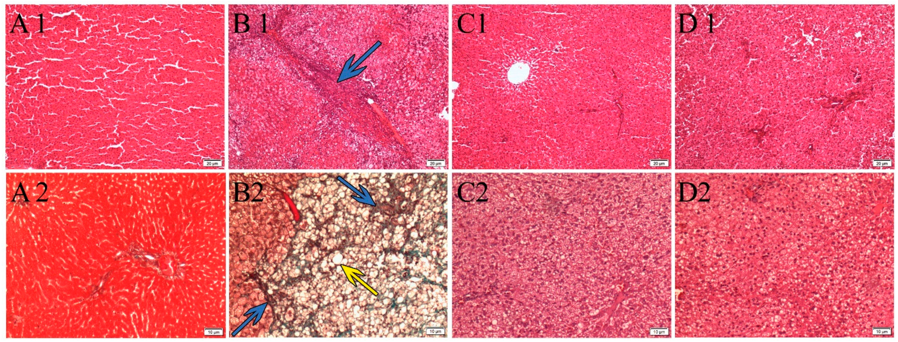Nutrients 10 01057 g001