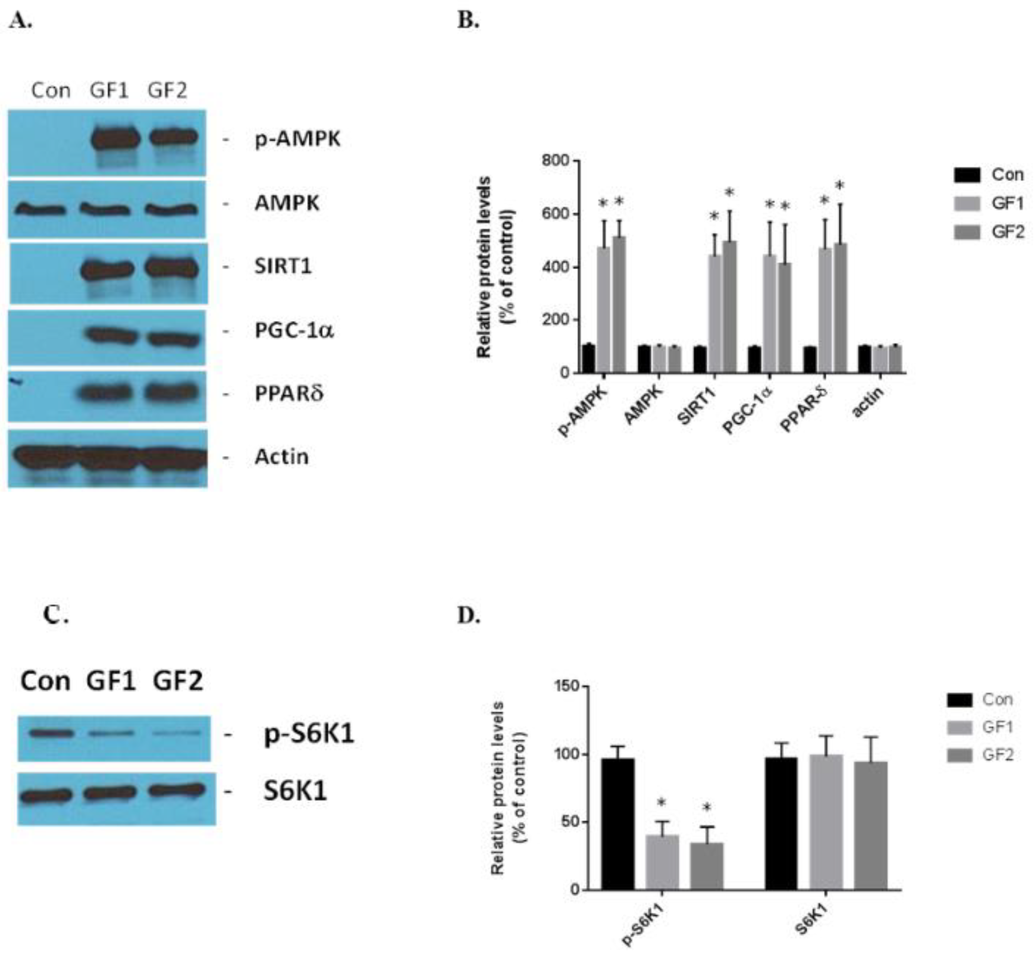 Nutrients 10 01101 g004 Nutrients 10 01101 g004