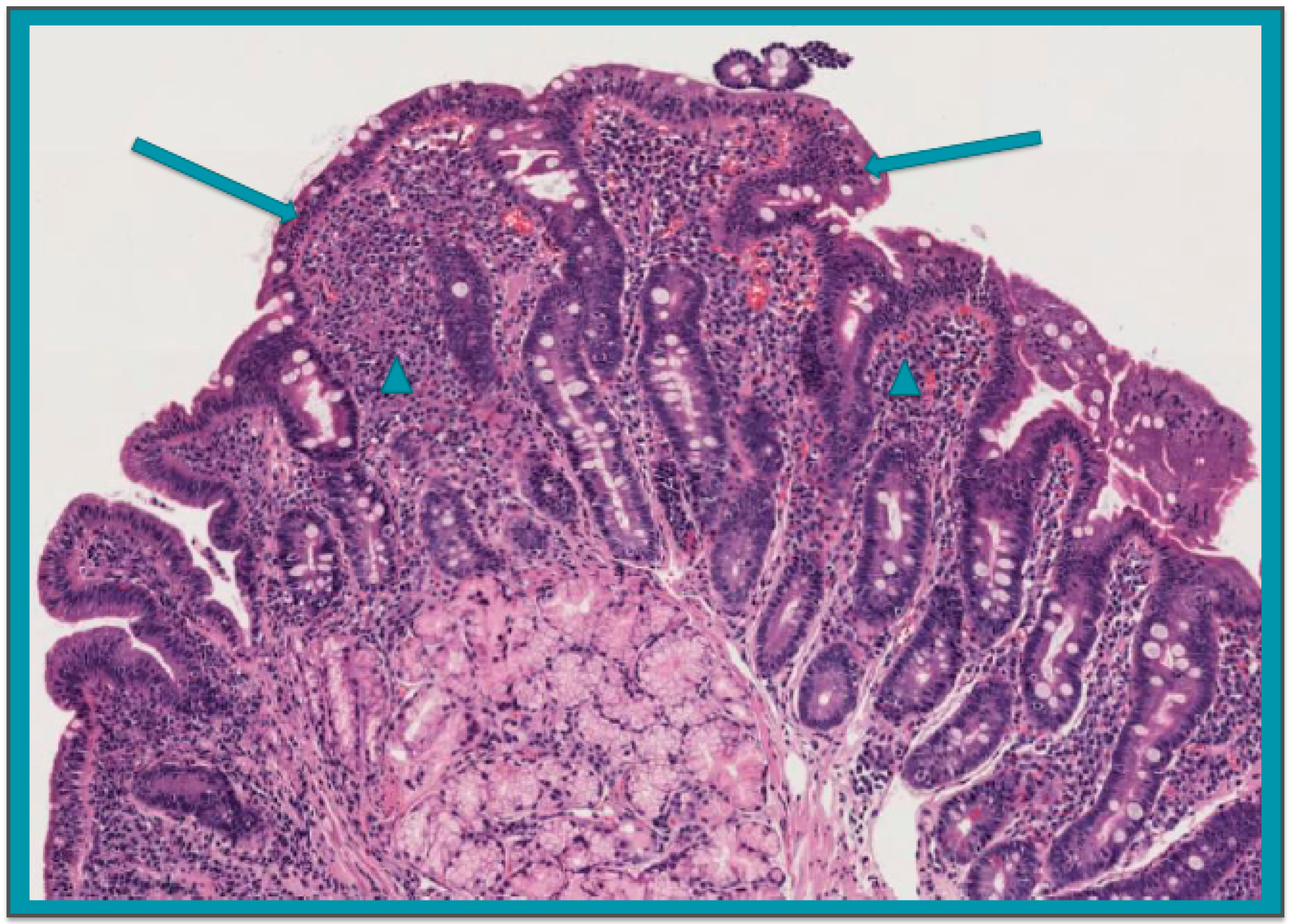 Nutrients 10 01157 g001 Nutrients 10 01157 g001