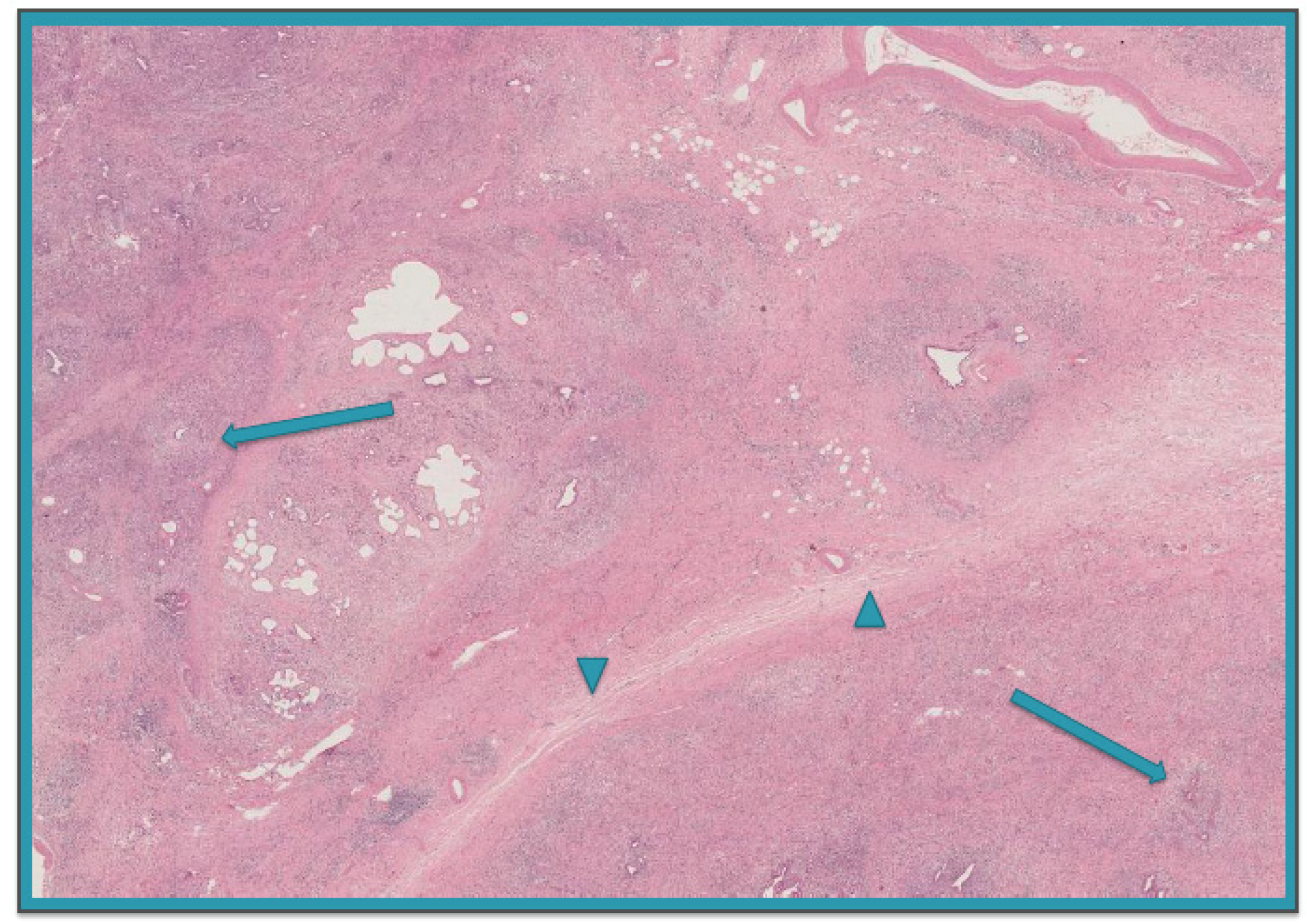 Nutrients 10 01157 g002 Nutrients 10 01157 g002