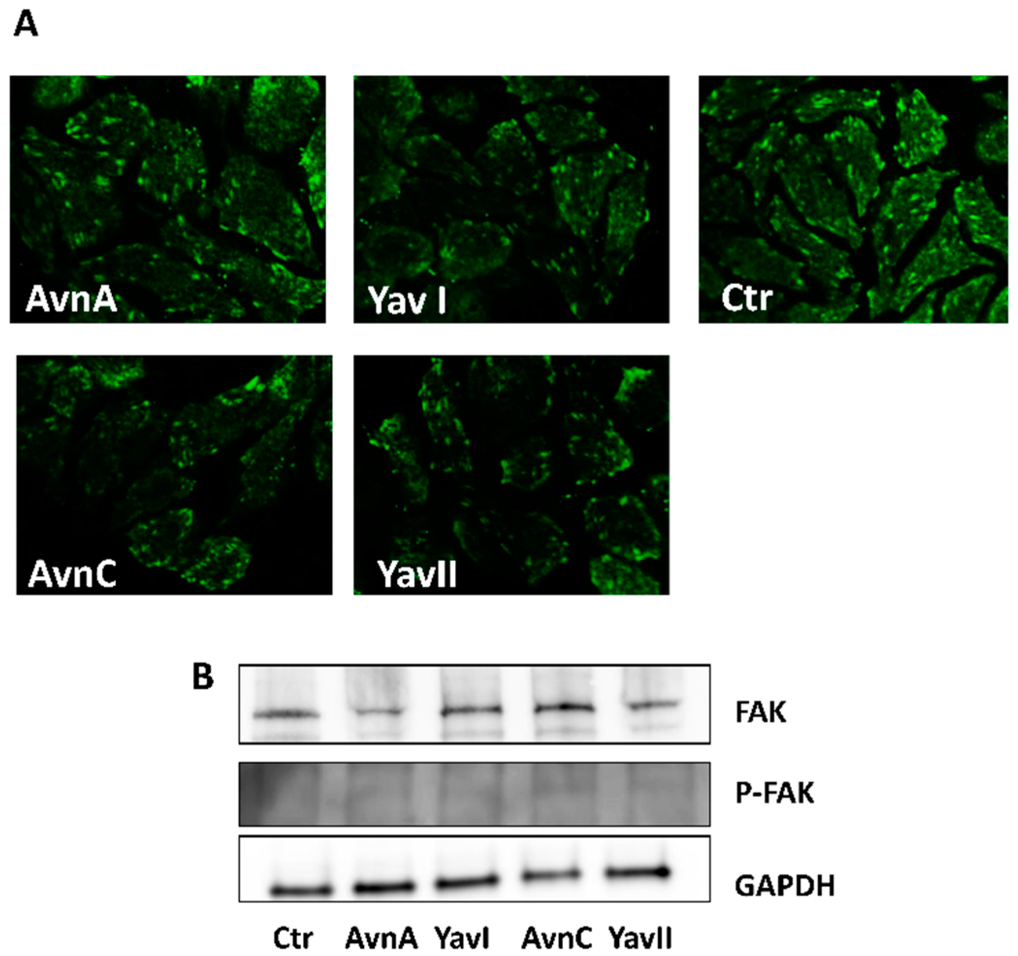 Nutrients 10 01159 g006