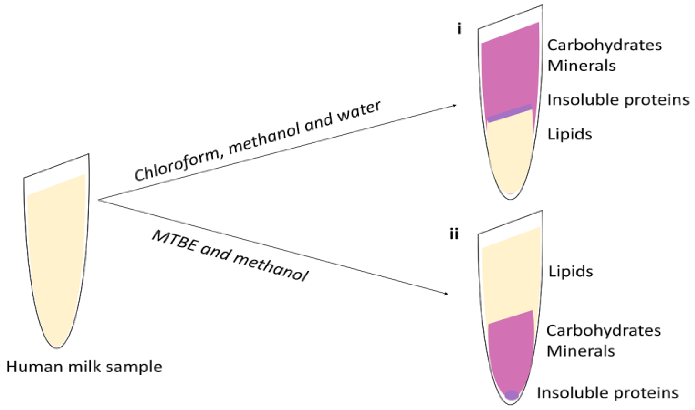 Nutrients 10 01169 g001 Nutrients 10 01169 g001