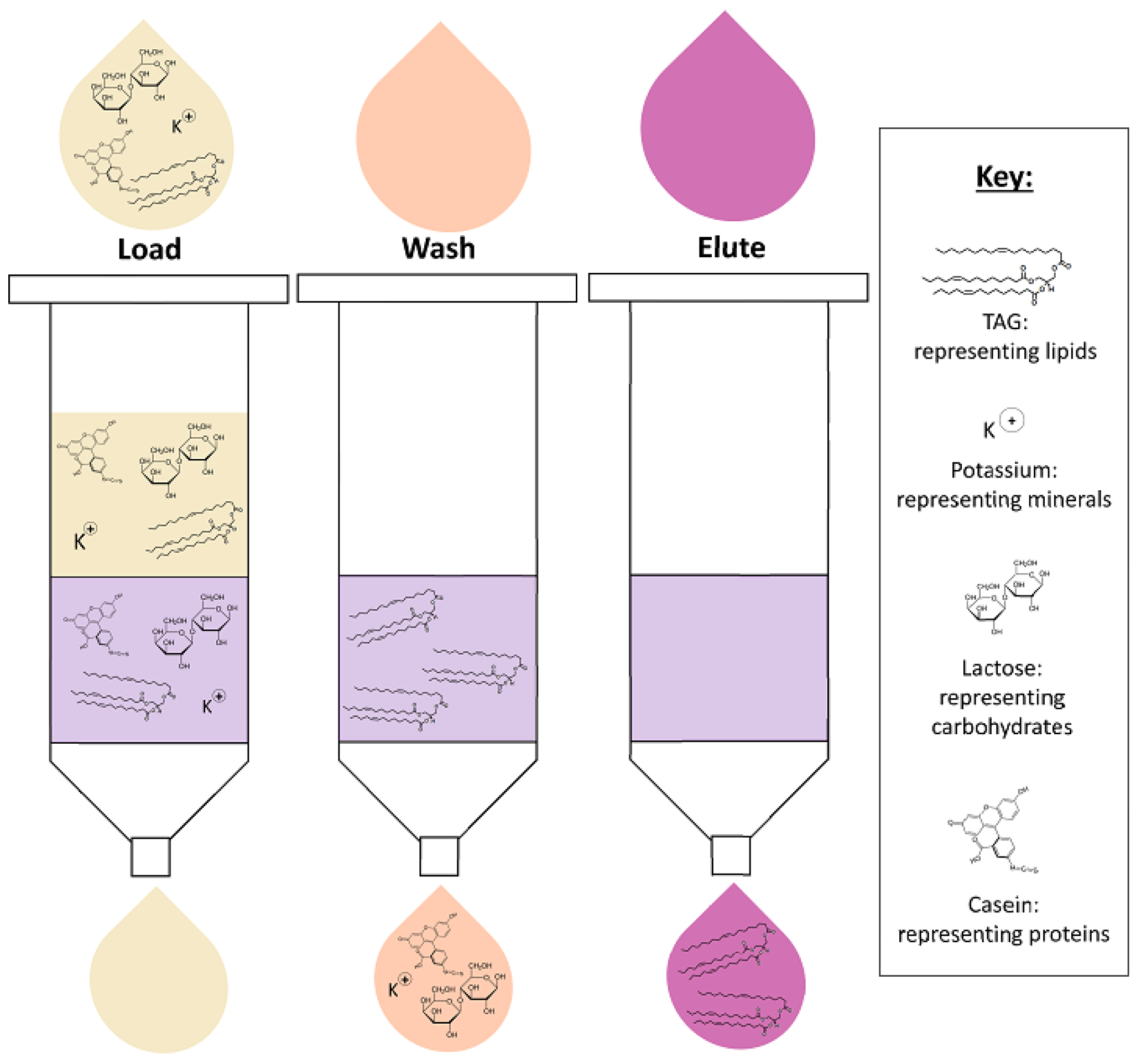 Nutrients 10 01169 g002 Nutrients 10 01169 g002