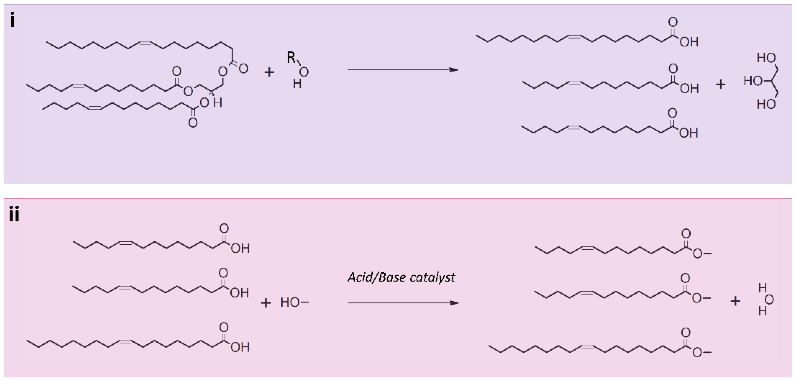 Nutrients 10 01169 g003 Nutrients 10 01169 g003