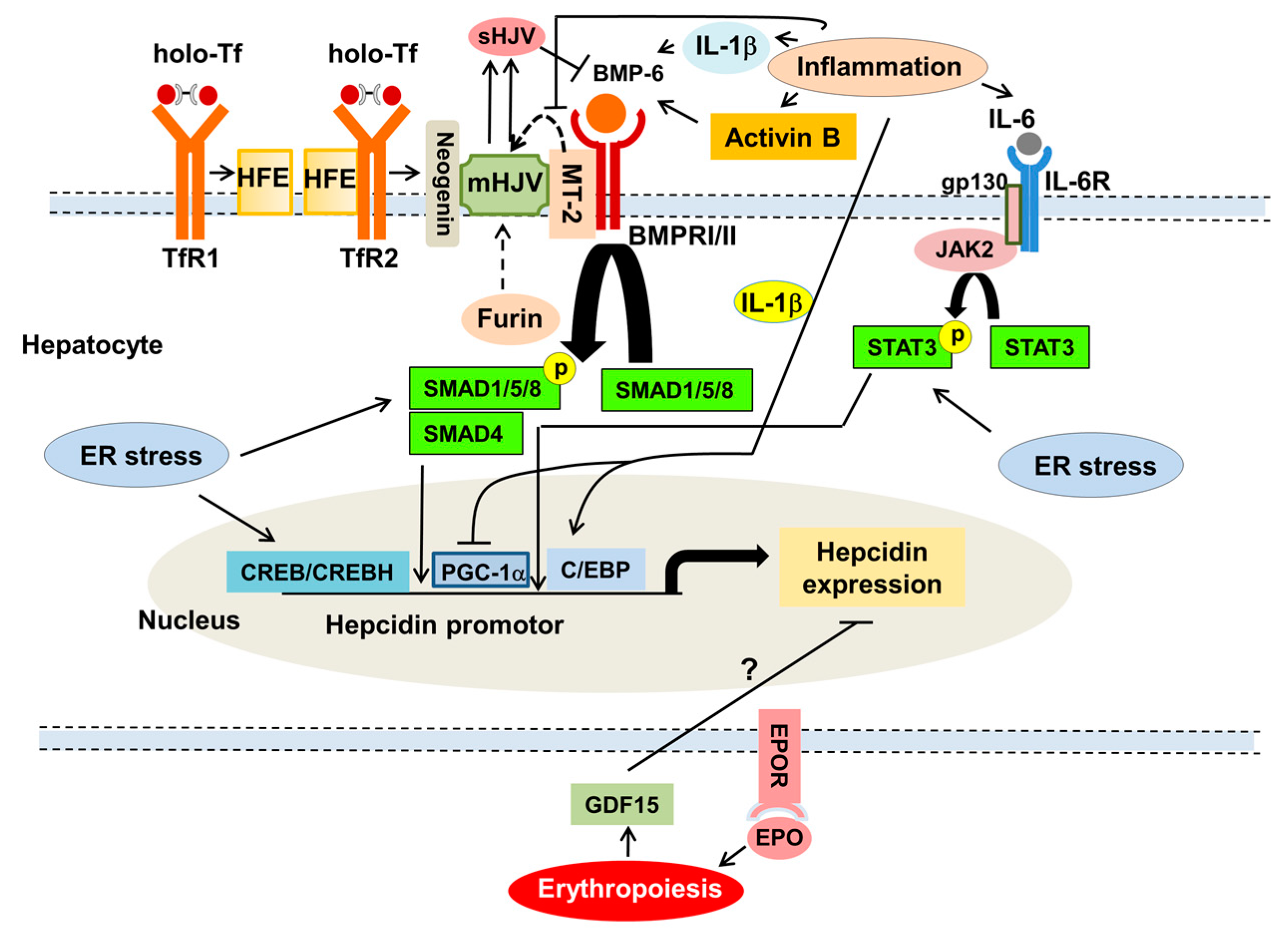 Nutrients 10 01173 g002