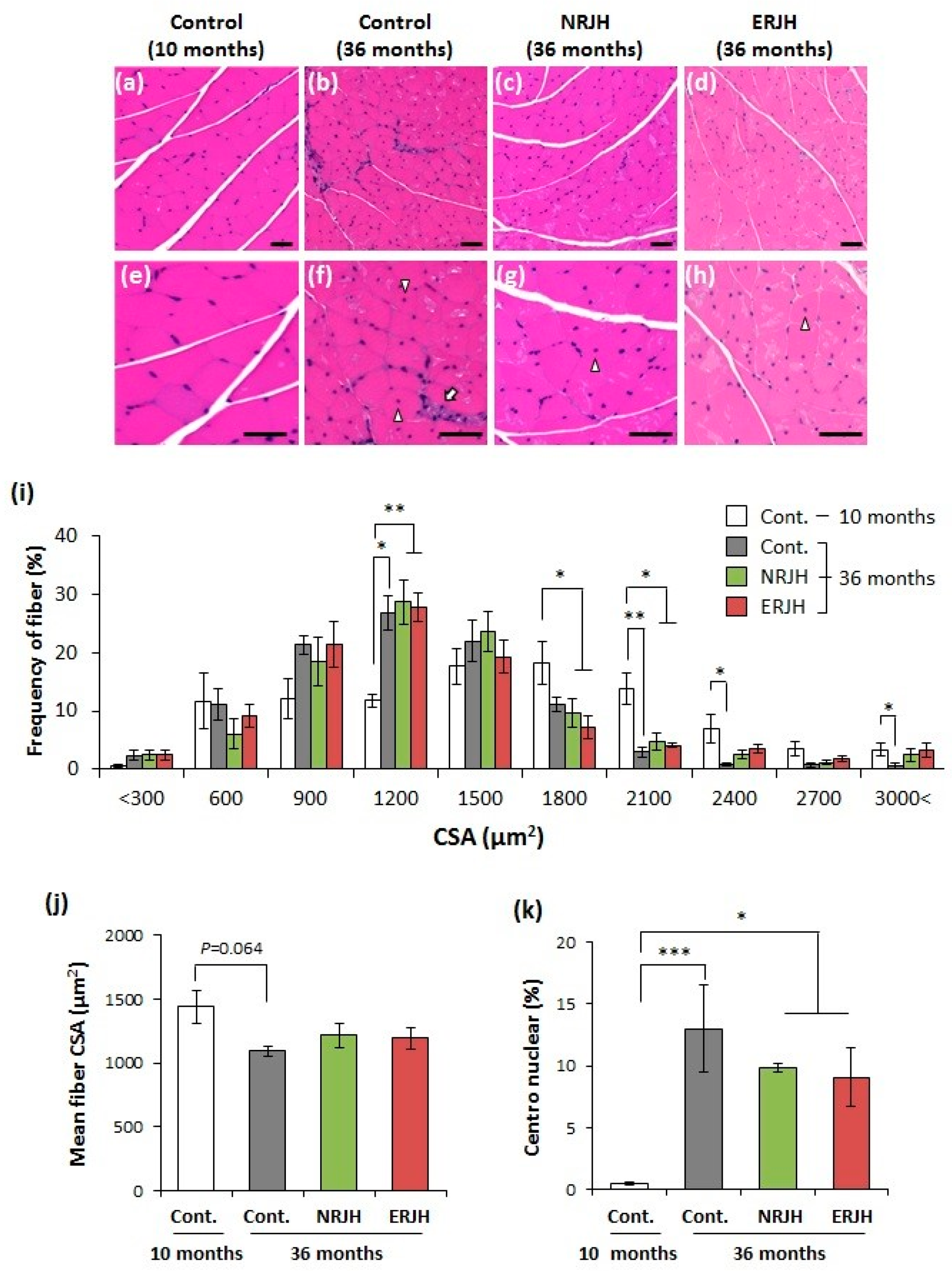 Nutrients 10 01191 g003 Nutrients 10 01191 g003