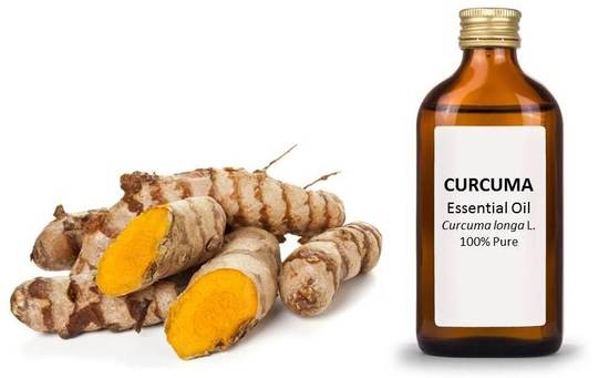Nutrients Free Full Text Chemical Composition And Biological Activities Of Essential Oils Of Curcuma Species Html