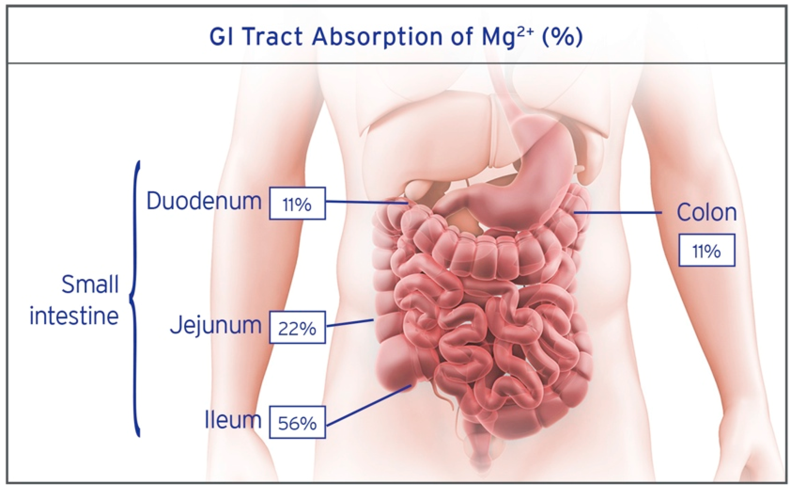Nutrients 10 01202 g003