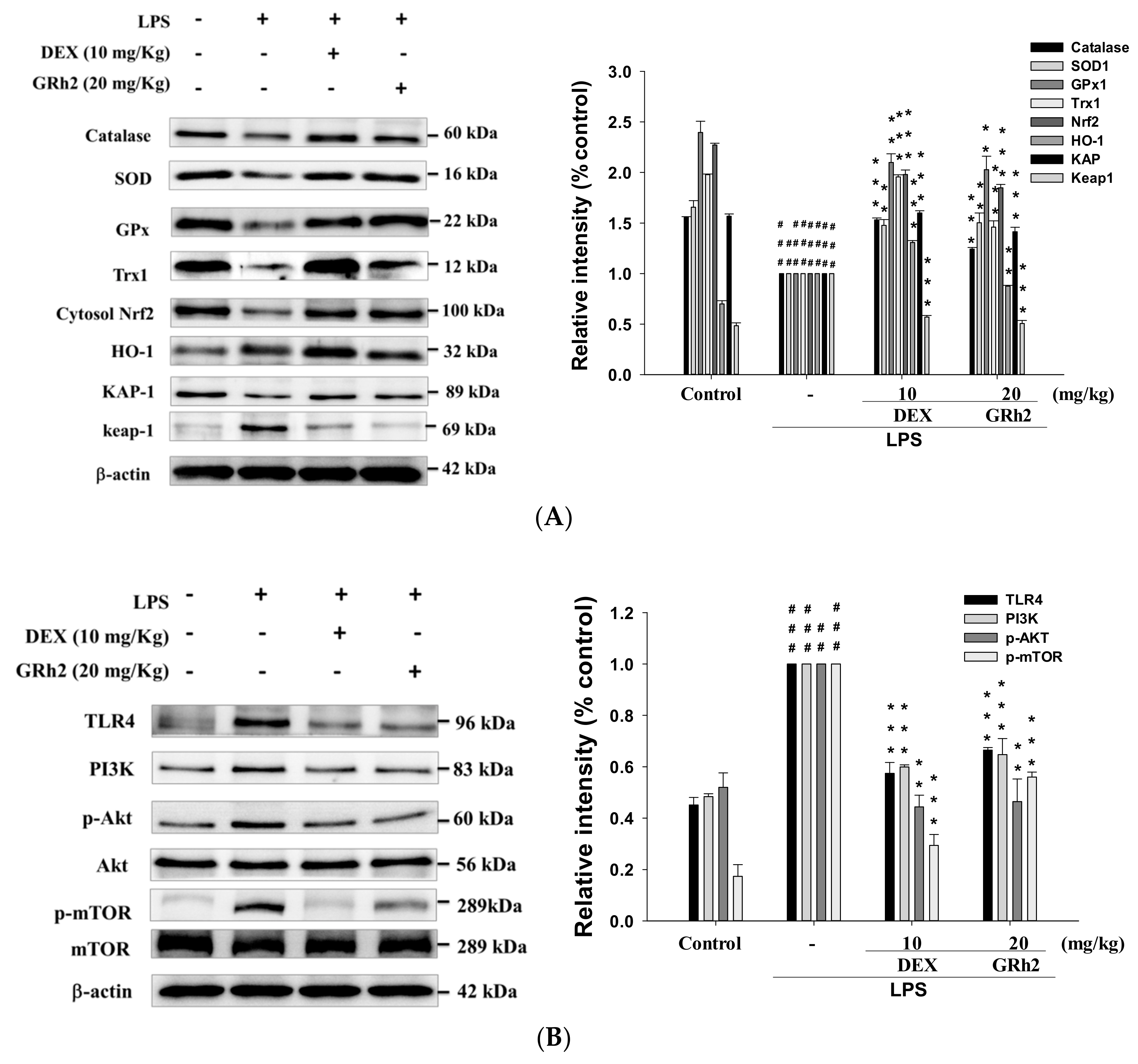 Nutrients 10 01208 g005a Nutrients 10 01208 g005a