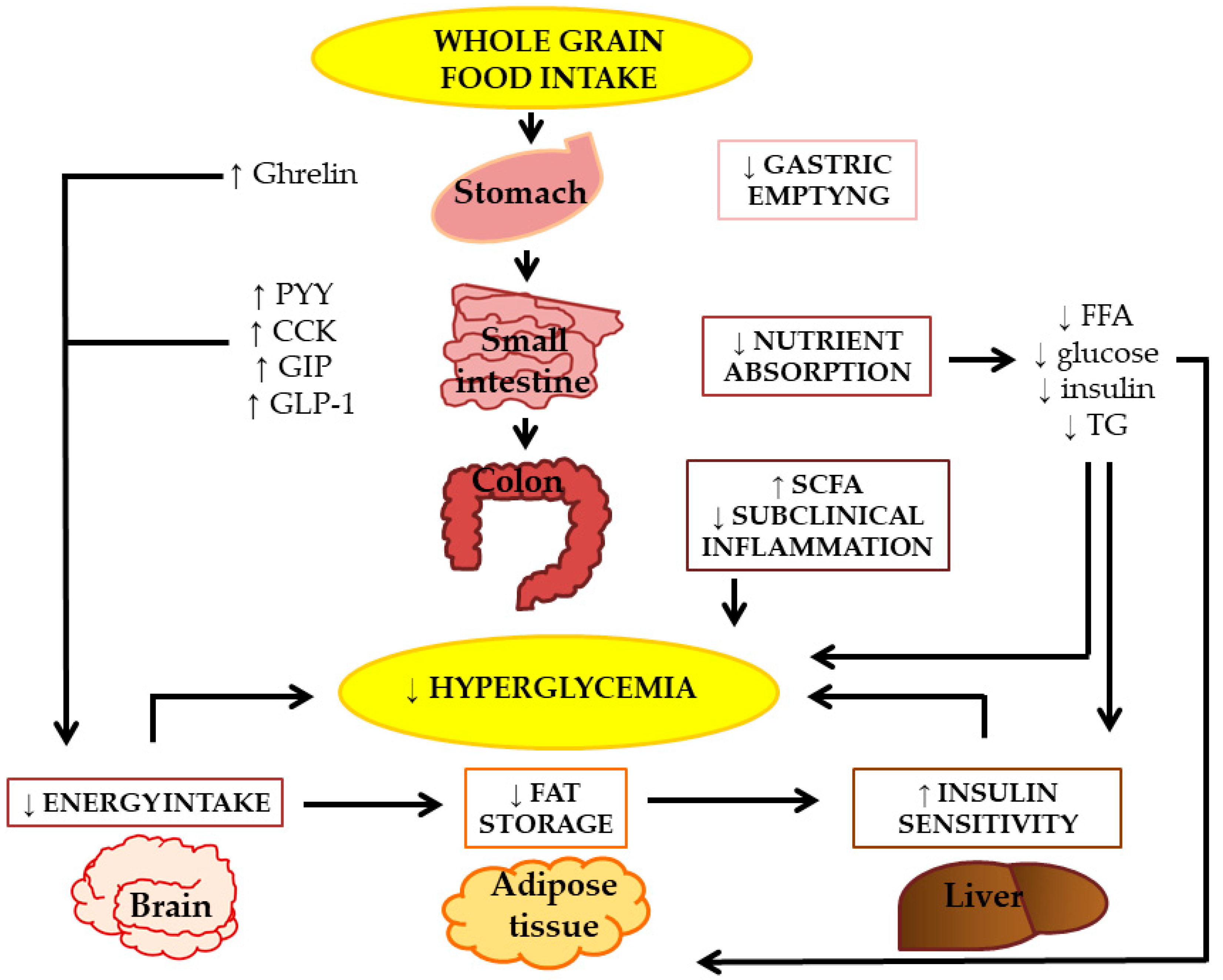 Nutrients 10 01288 g001