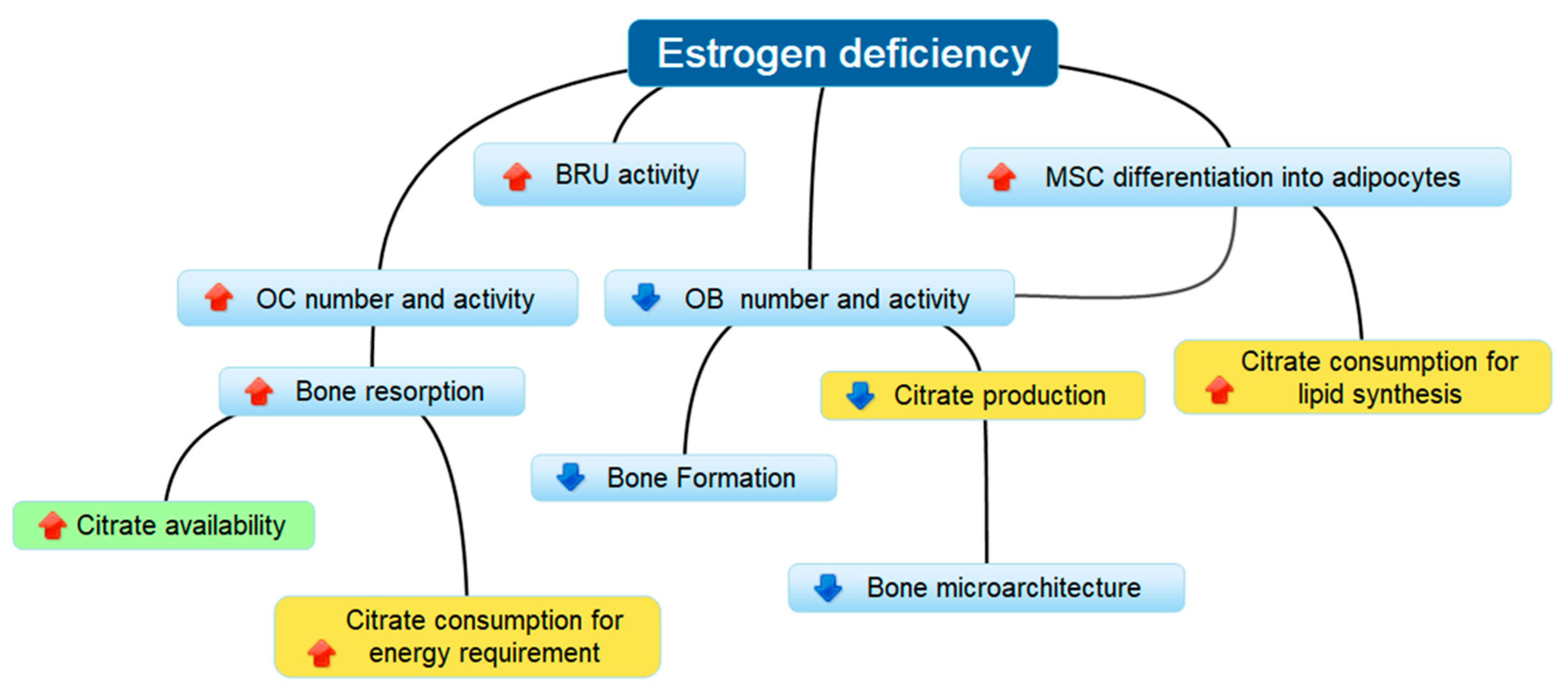 Nutrients 10 01293 g007 Nutrients 10 01293 g007