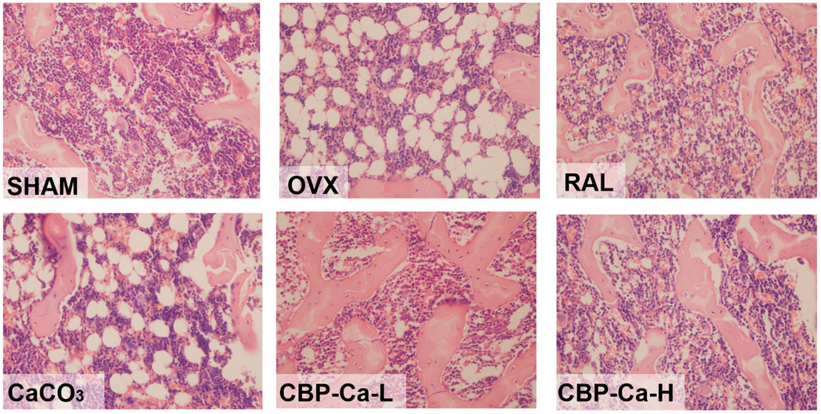 Nutrients 10 01325 g005 Nutrients 10 01325 g005