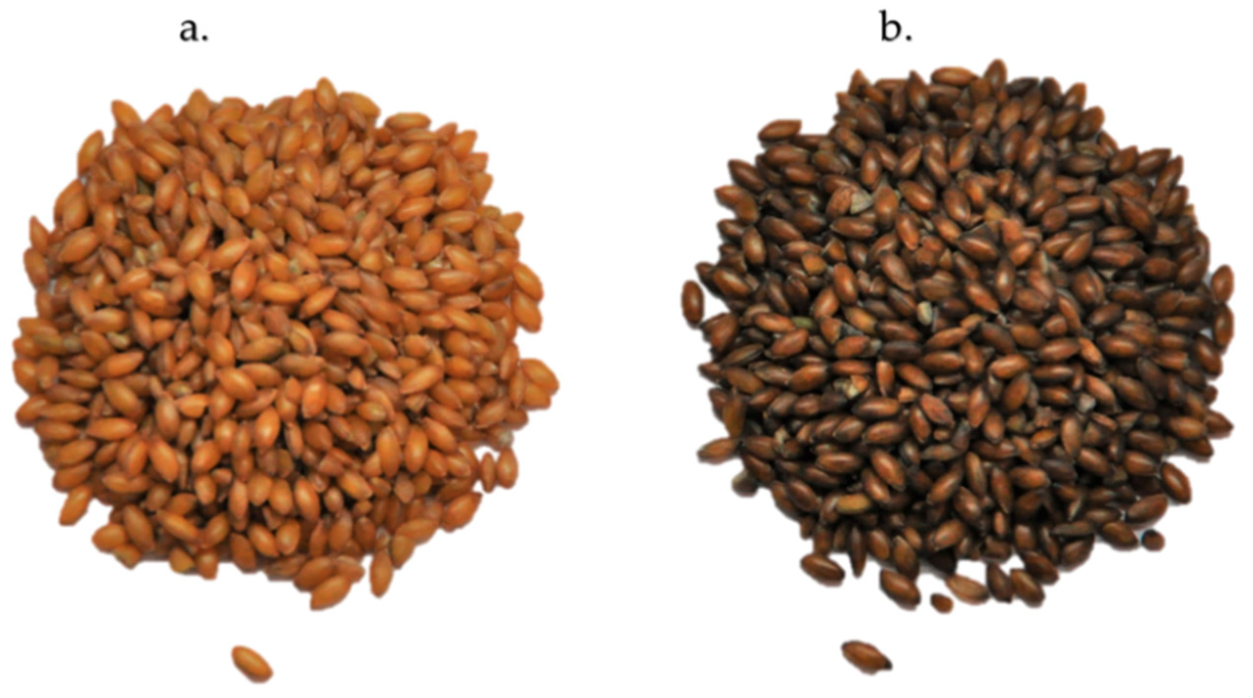 Nutrients 10 01327 g001 Nutrients 10 01327 g001