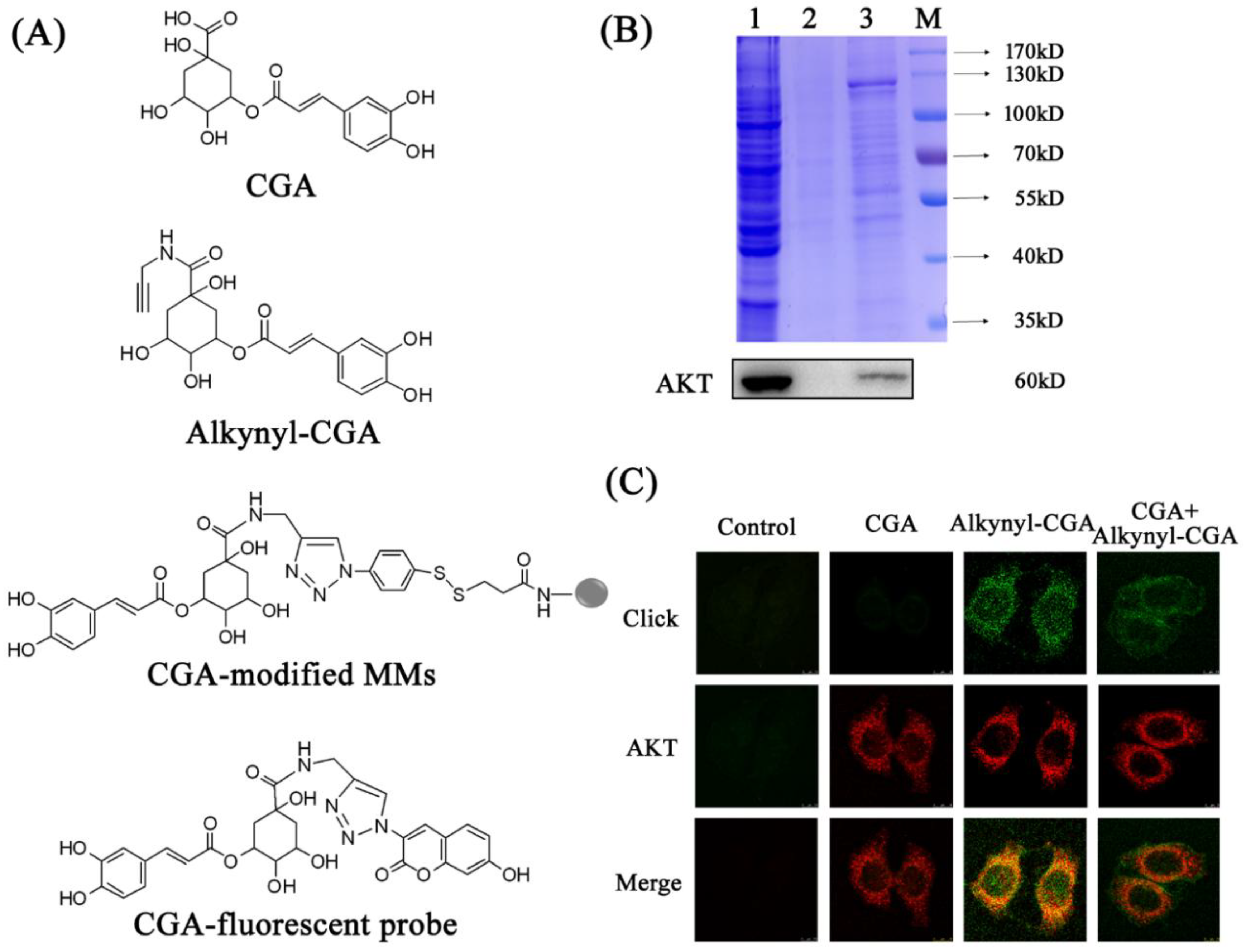 Nutrients 10 01366 g002 Nutrients 10 01366 g002