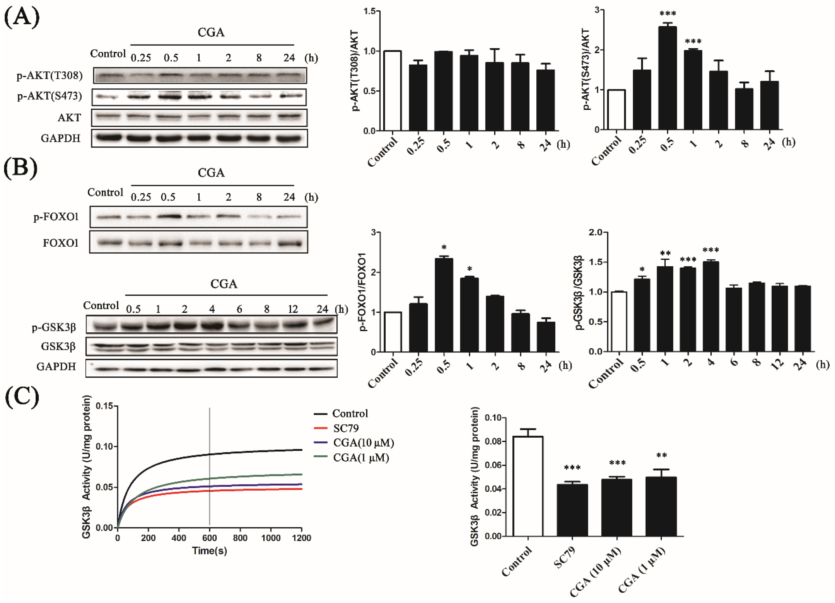 Nutrients 10 01366 g004 Nutrients 10 01366 g004