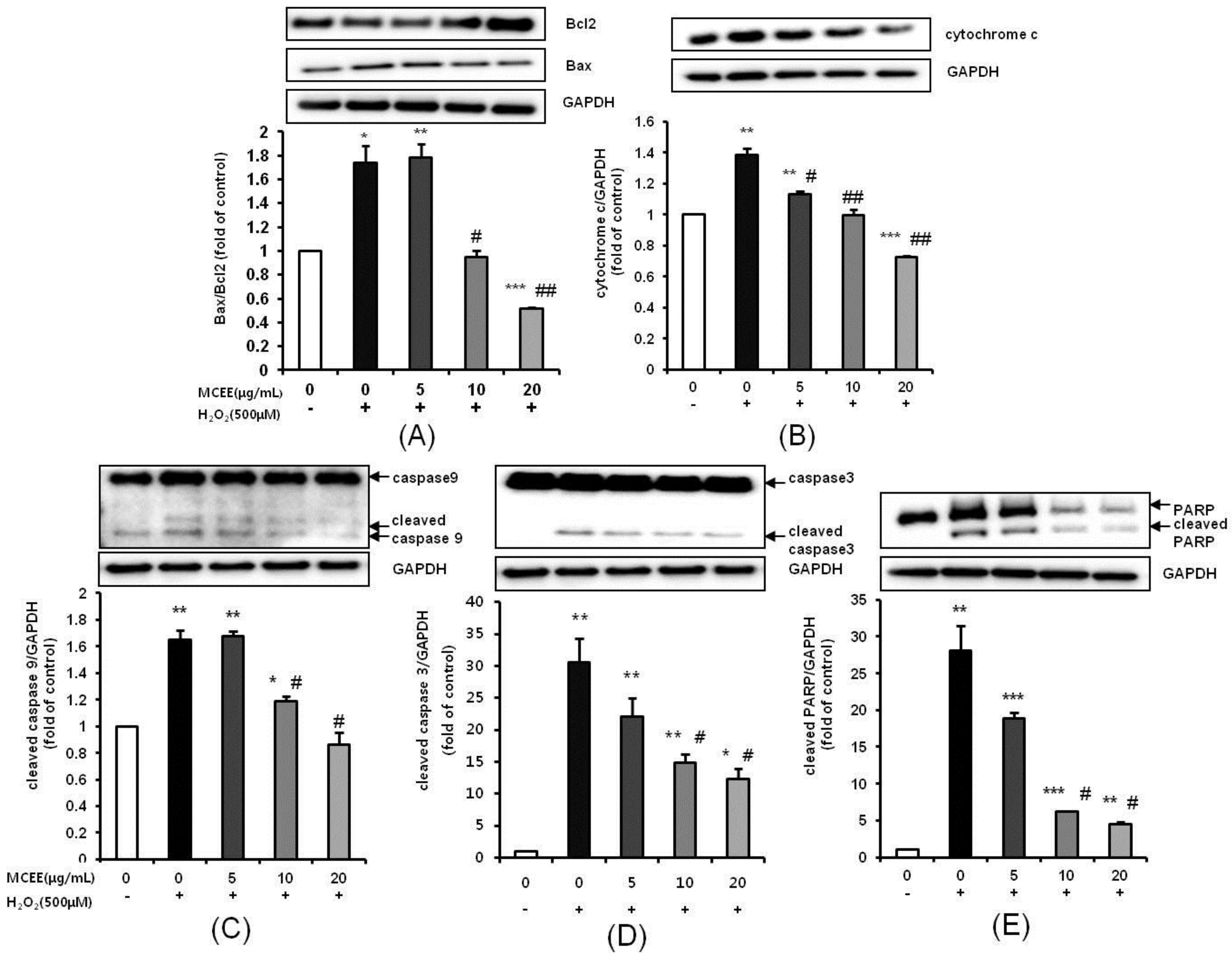 Nutrients 10 01368 g007 Nutrients 10 01368 g007