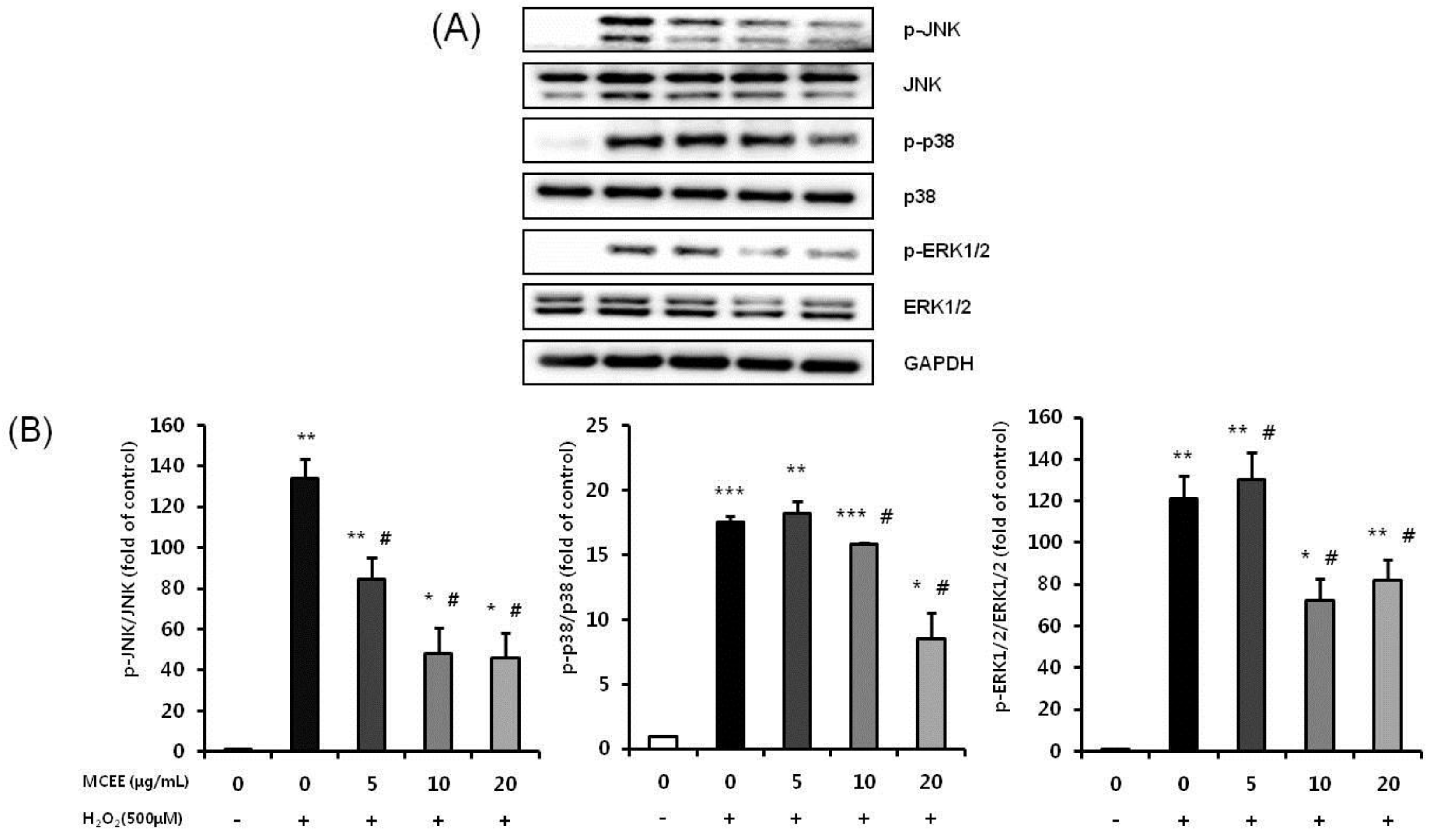 Nutrients 10 01368 g008 Nutrients 10 01368 g008