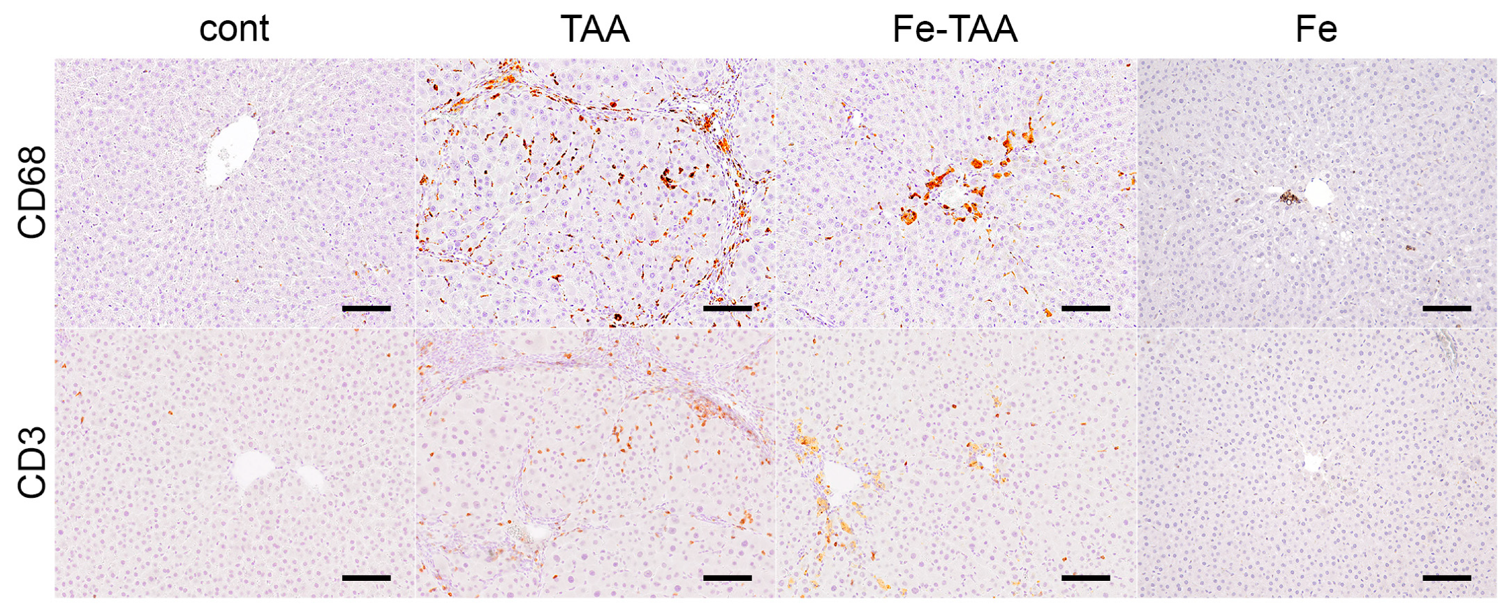 Nutrients 10 01400 g004 Nutrients 10 01400 g004