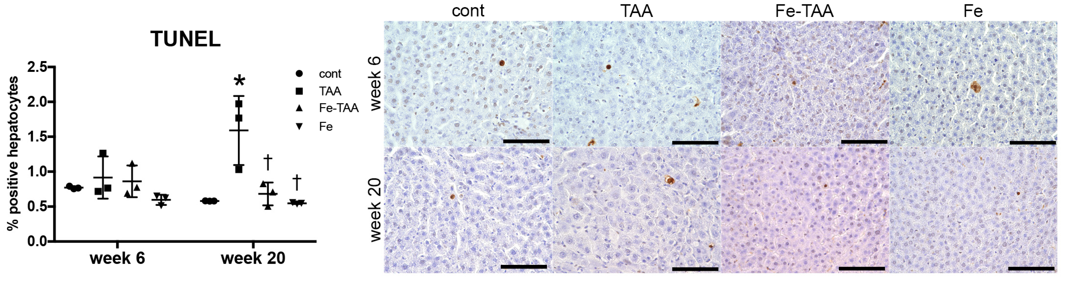 Nutrients 10 01400 g008 Nutrients 10 01400 g008