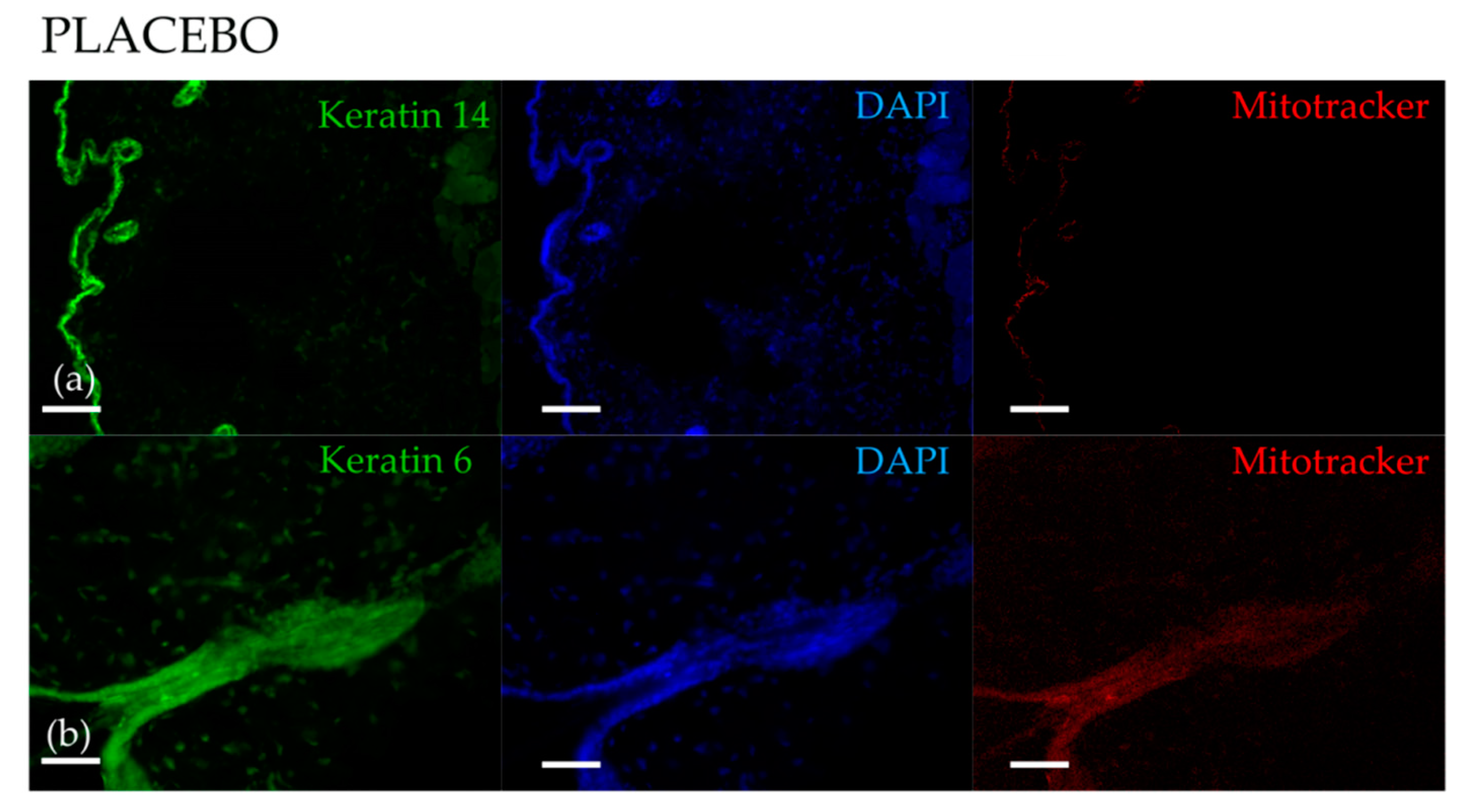 Nutrients 10 01406 g003a Nutrients 10 01406 g003a