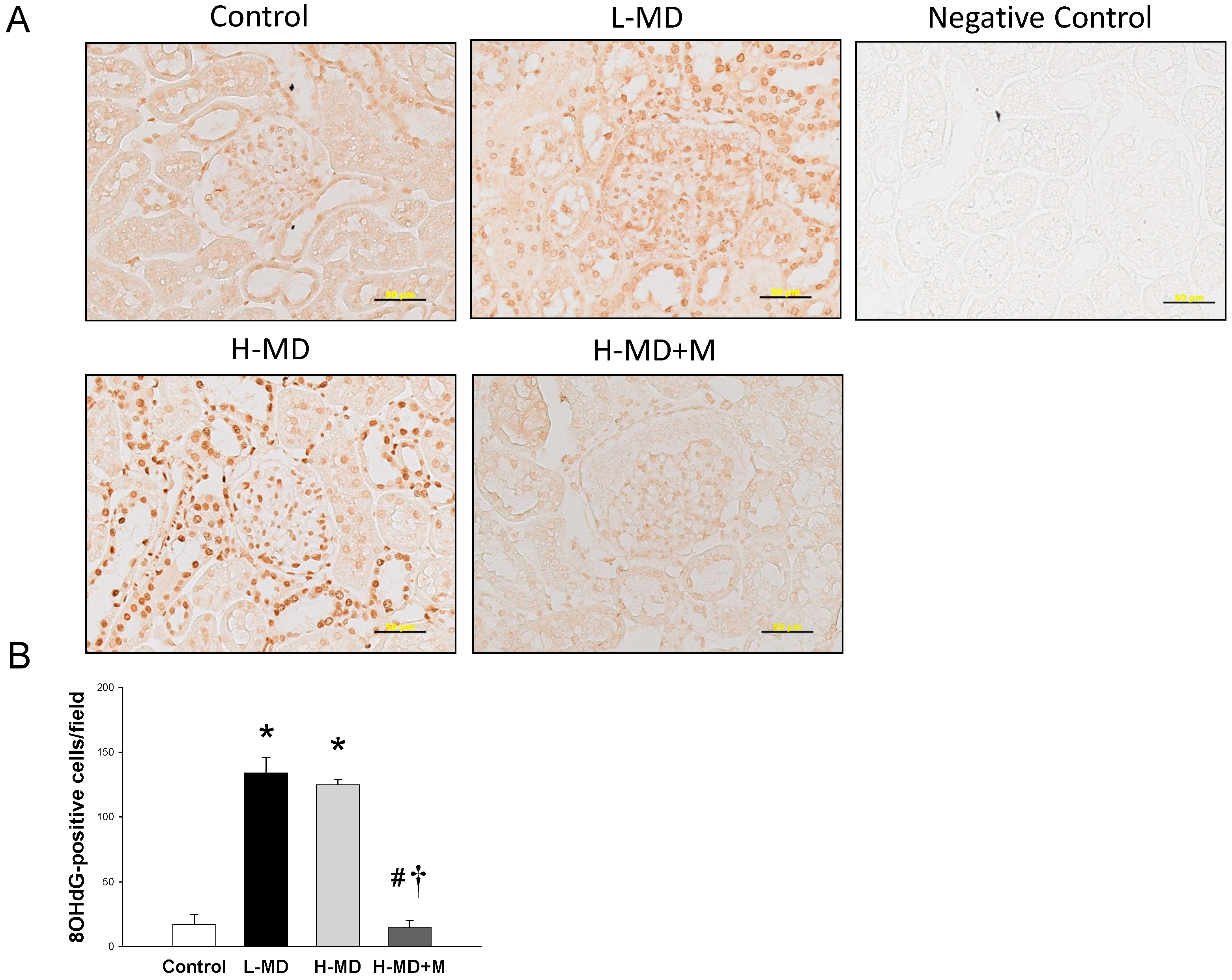 Nutrients 10 01407 g004
