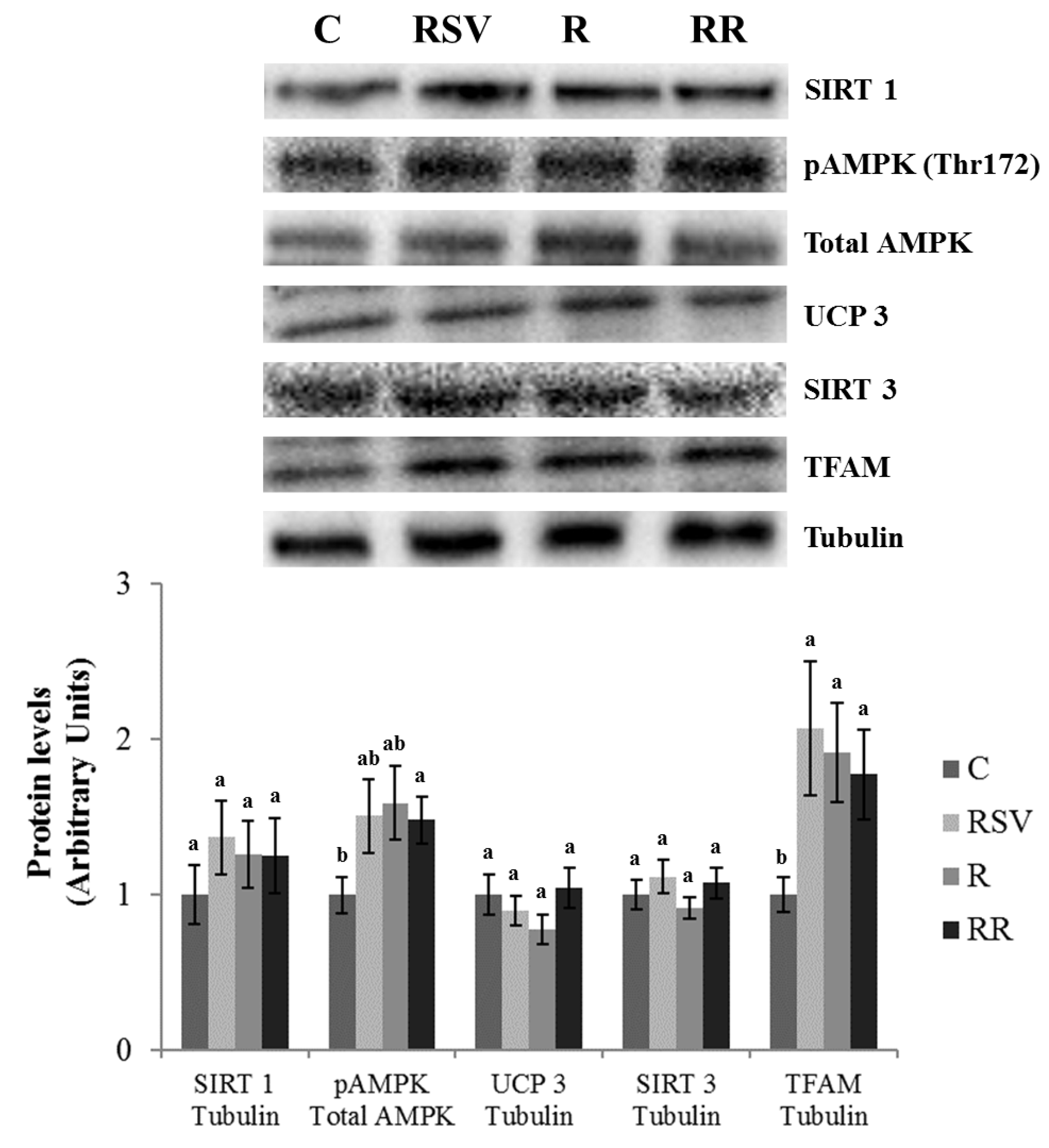 Nutrients 10 01446 g006 Nutrients 10 01446 g006