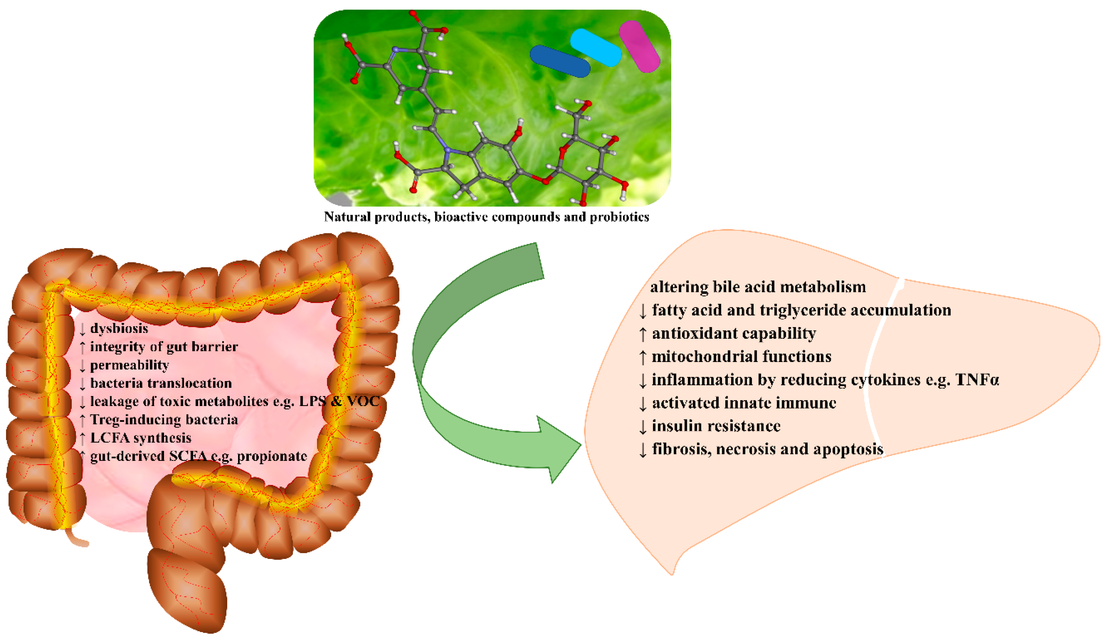 Nutrients 10 01457 g002