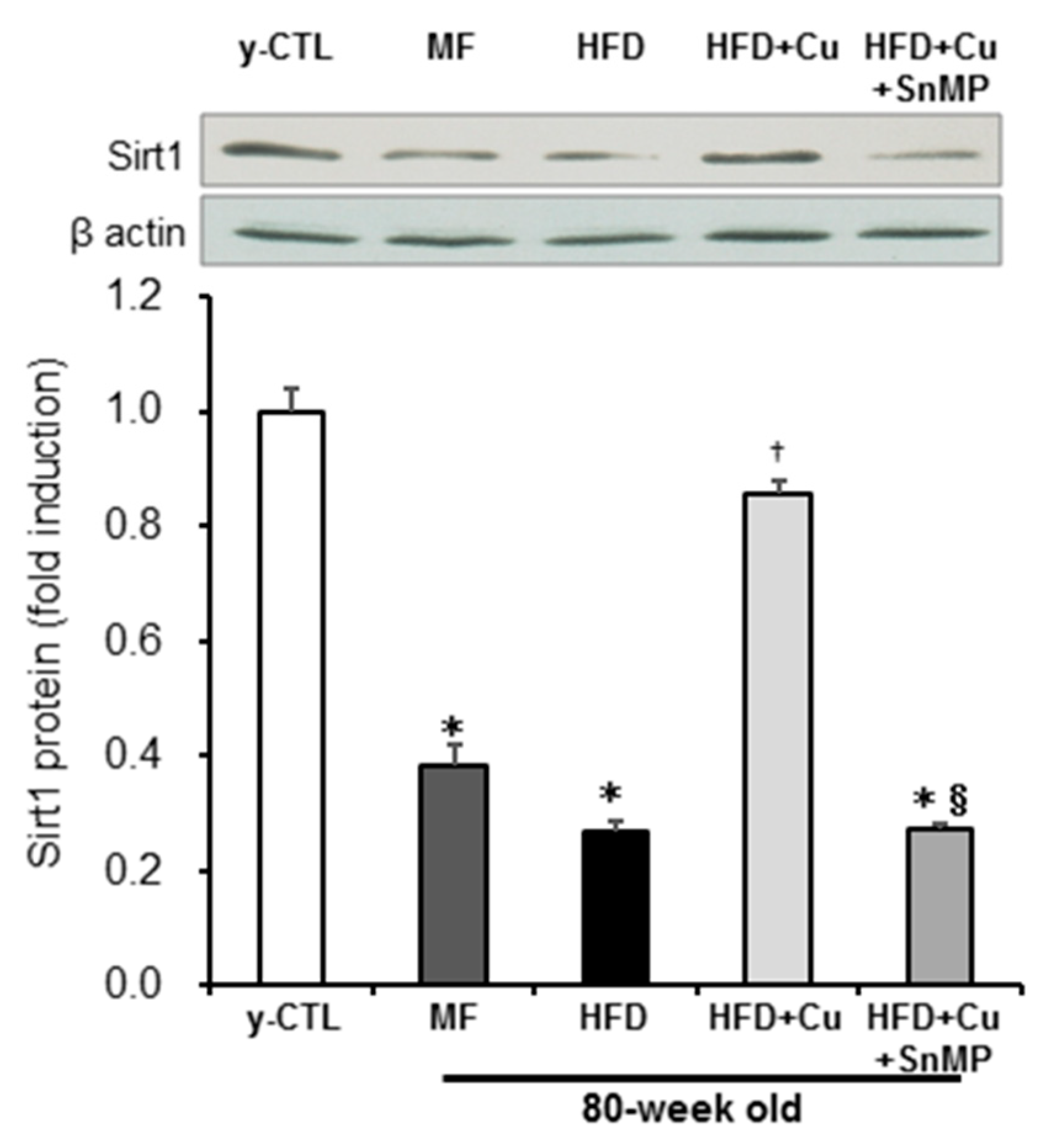 Nutrients 10 01476 g004