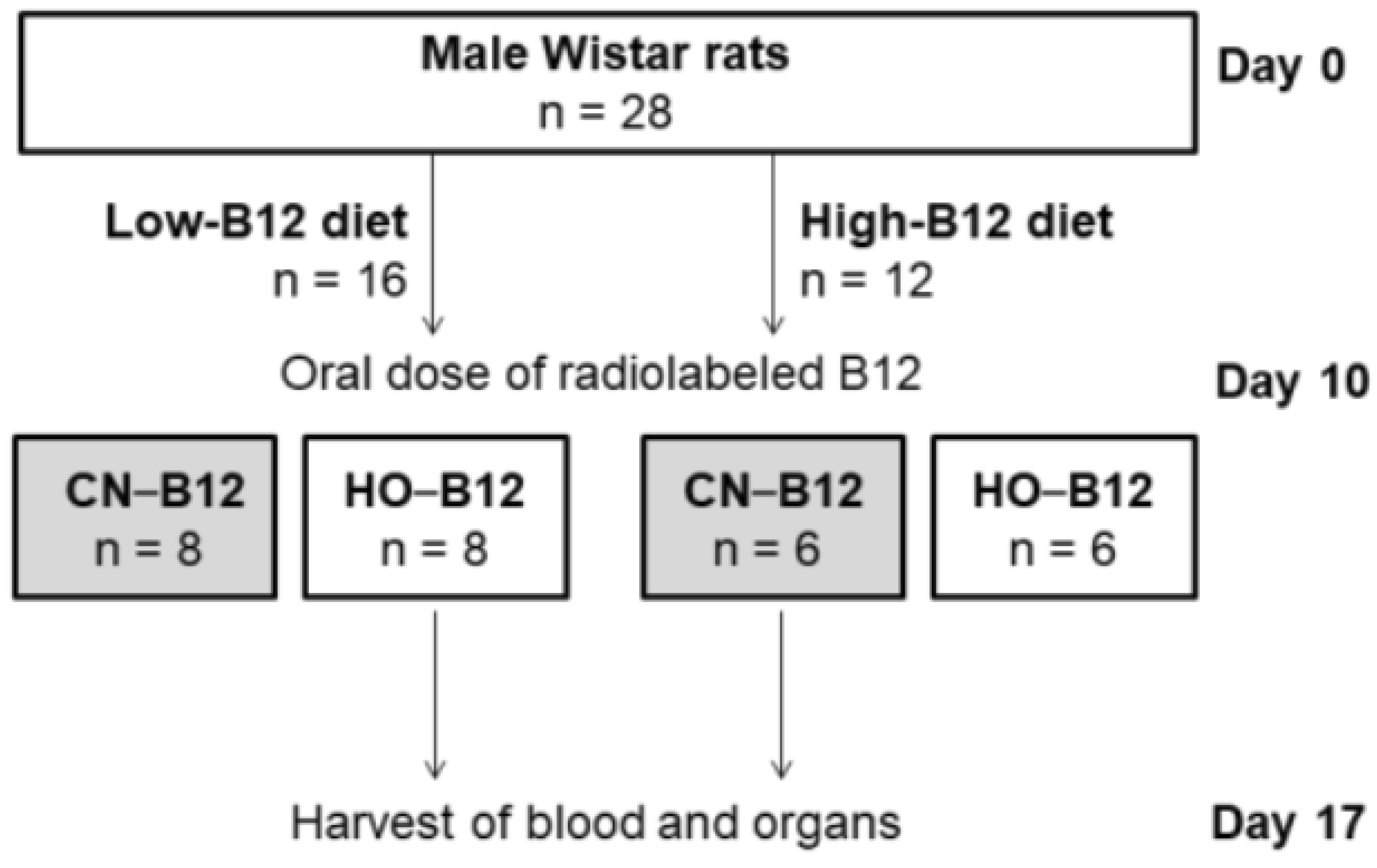 Nutrients 10 01487 g001