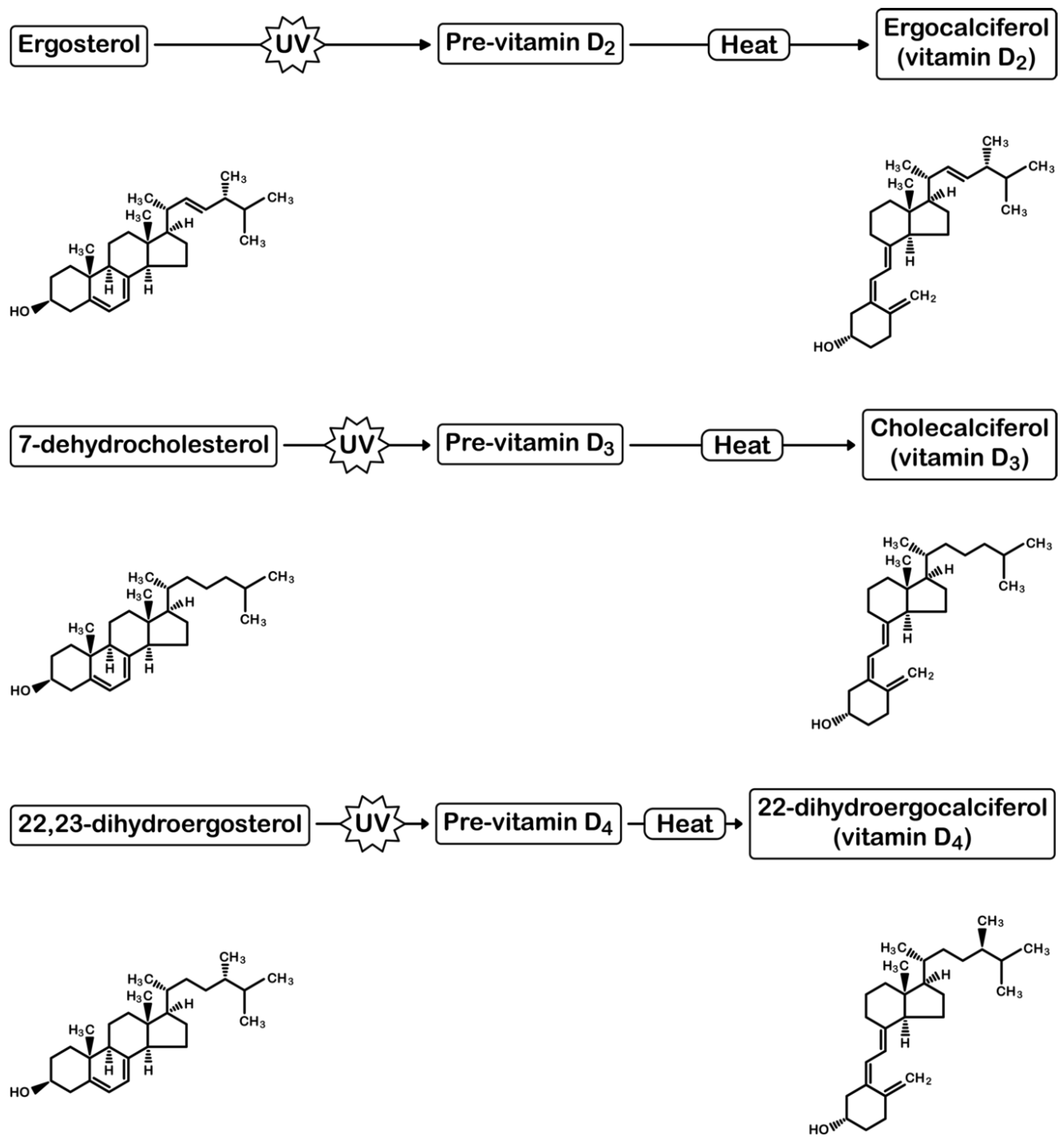 Nutrients 10 01498 g001