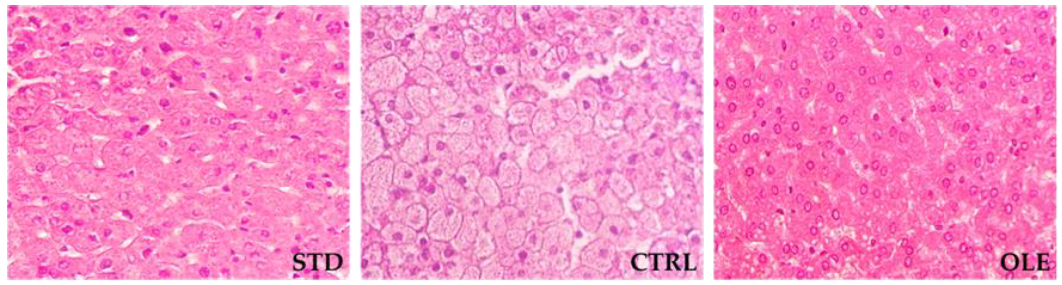 Nutrients 10 01511 g001