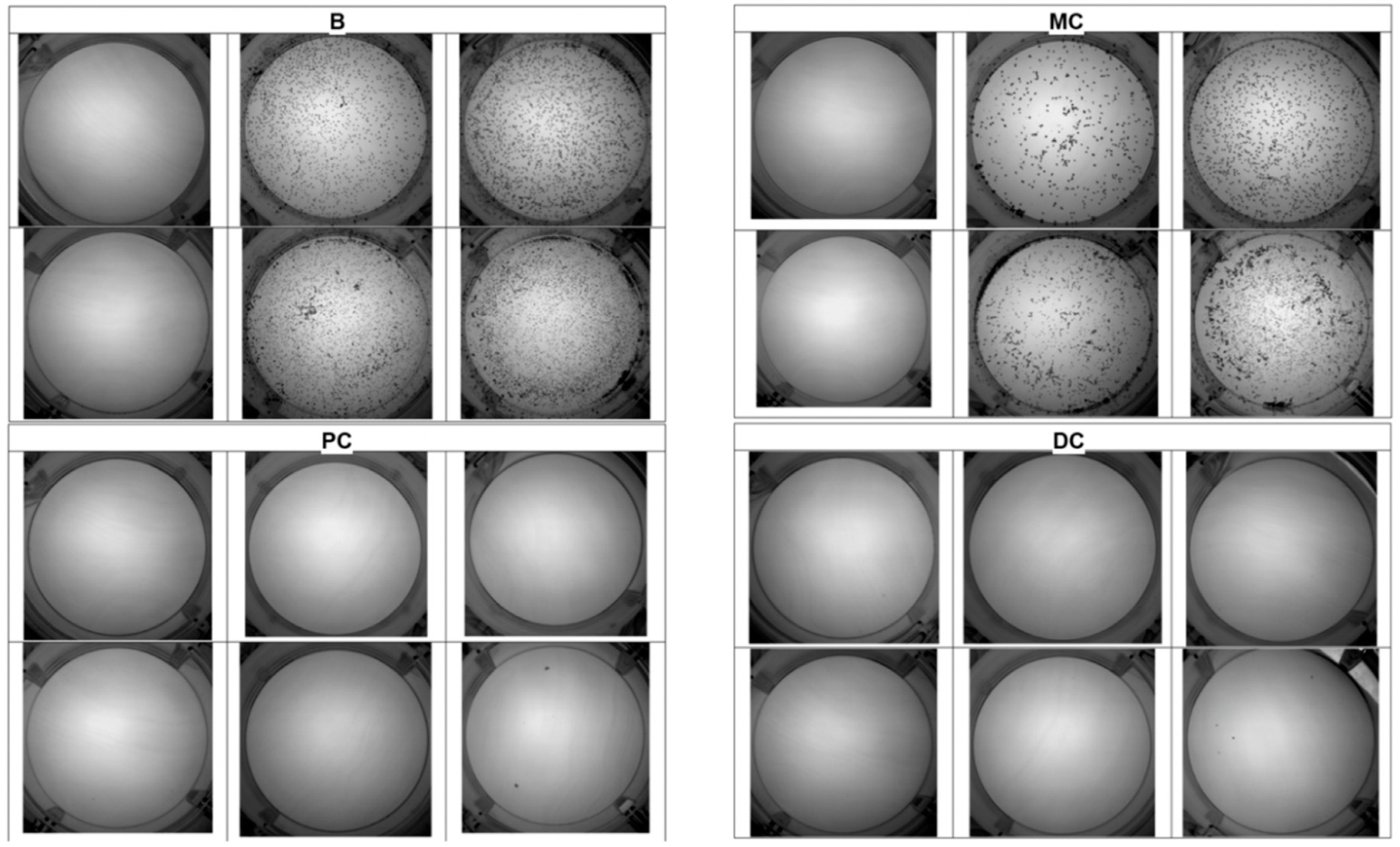 Nutrients 10 01516 g003