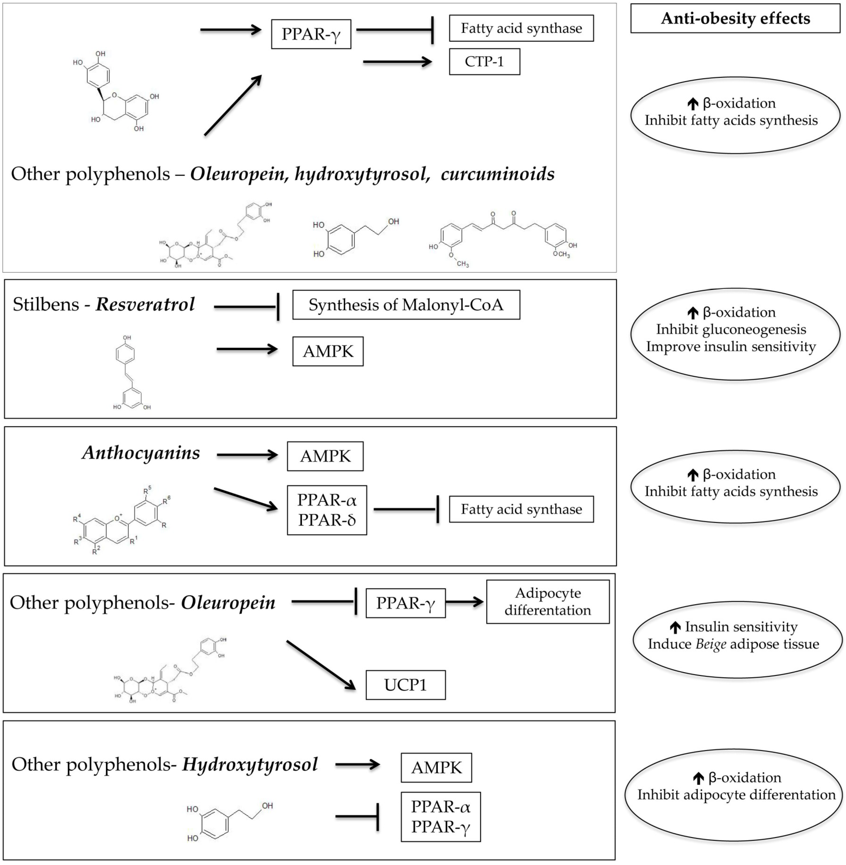 Nutrients 10 01523 g001