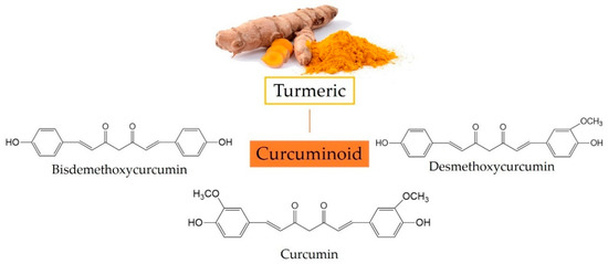 Bioactivity, Health Benefits, and Related Molecular Mechanisms of Curcumin:  Current Progress, Challenges, and Perspectives