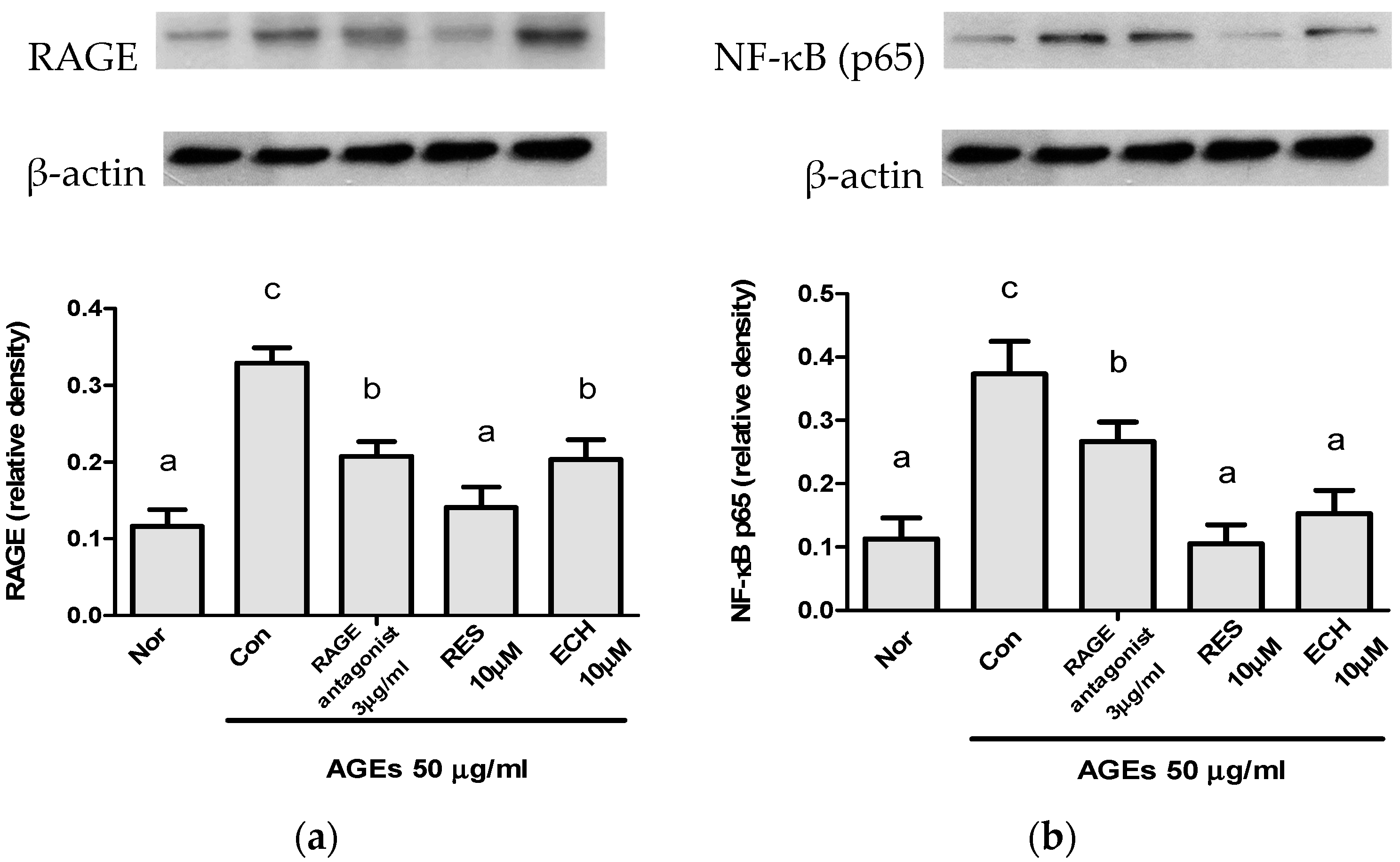 Nutrients 10 01562 g005