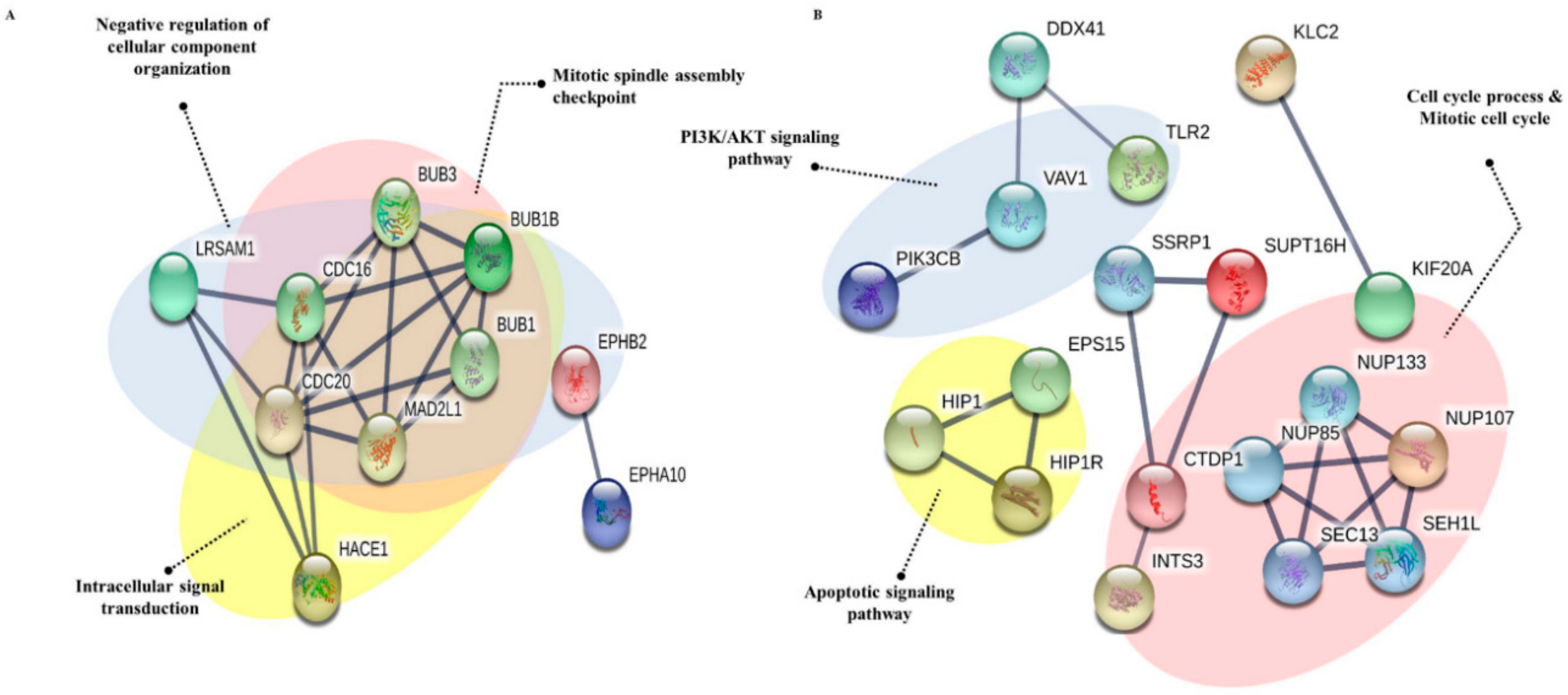 Nutrients 10 01596 g009 Nutrients 10 01596 g009