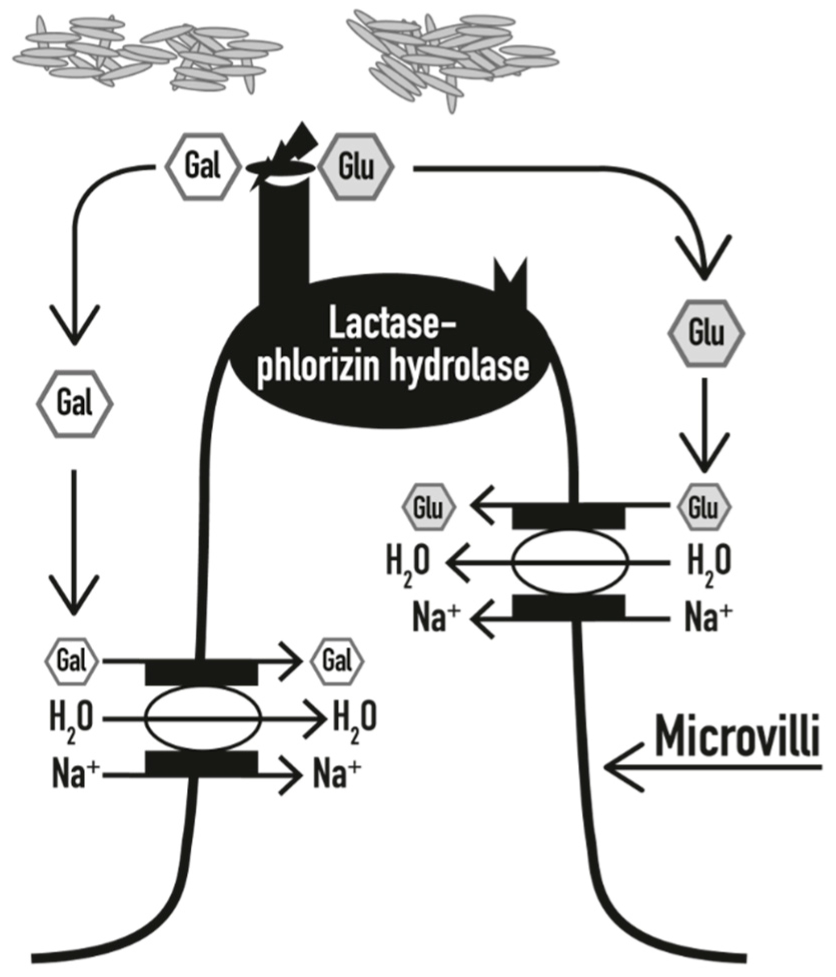 Nutrients 10 01599 g001