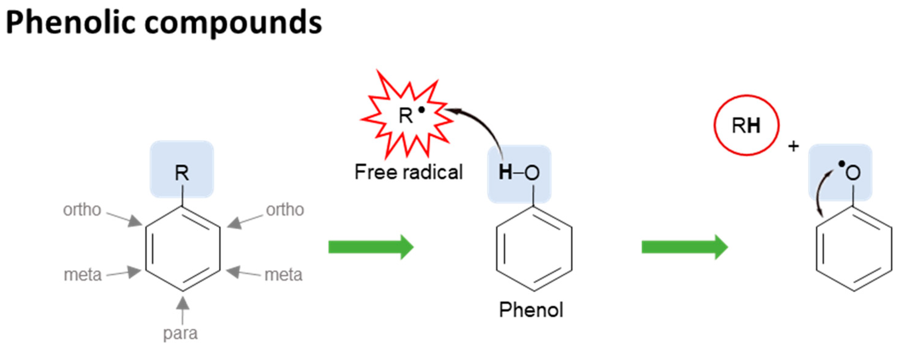 Nutrients 10 01605 g002