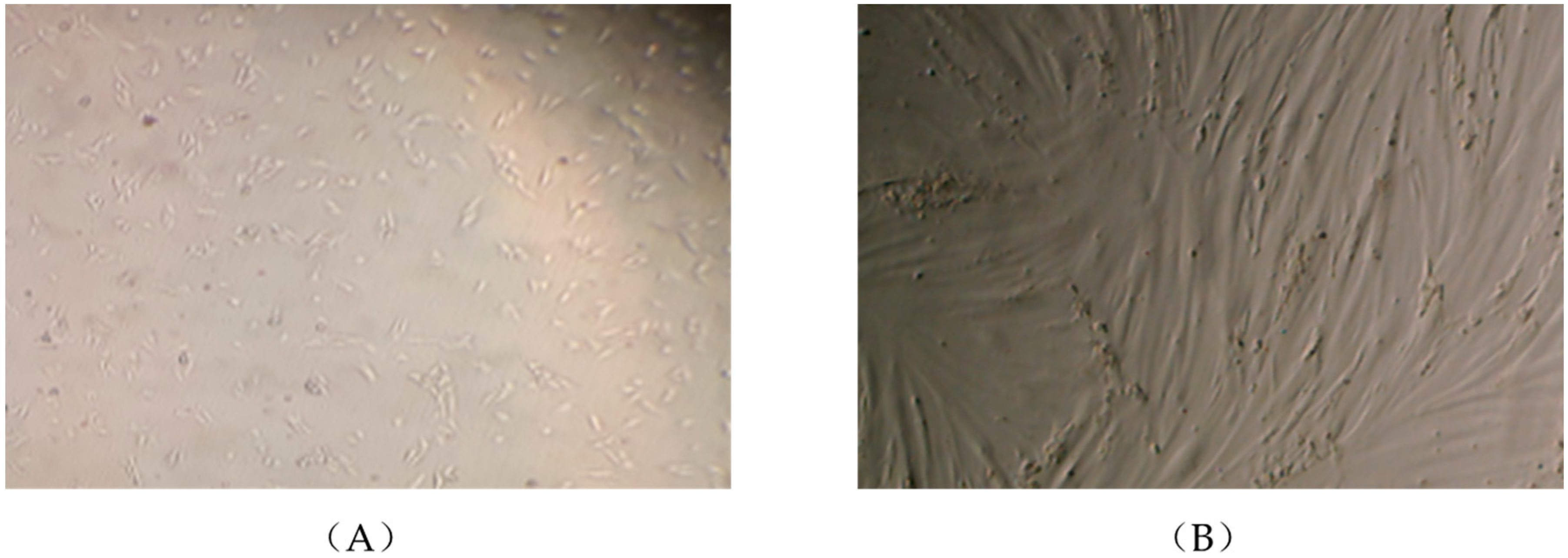 Nutrients 10 01623 g001