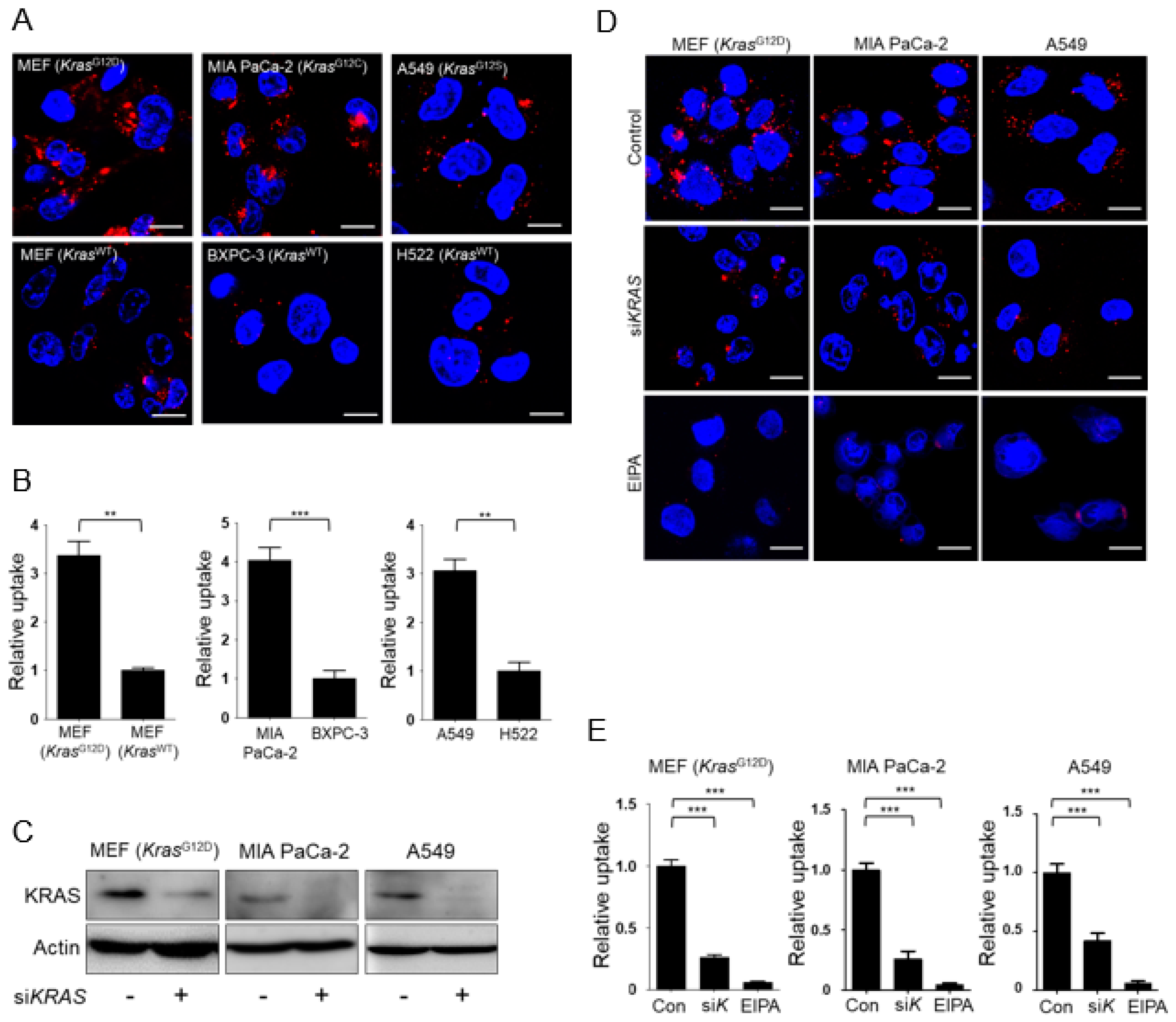 Nutrients 10 01638 g001 Nutrients 10 01638 g001