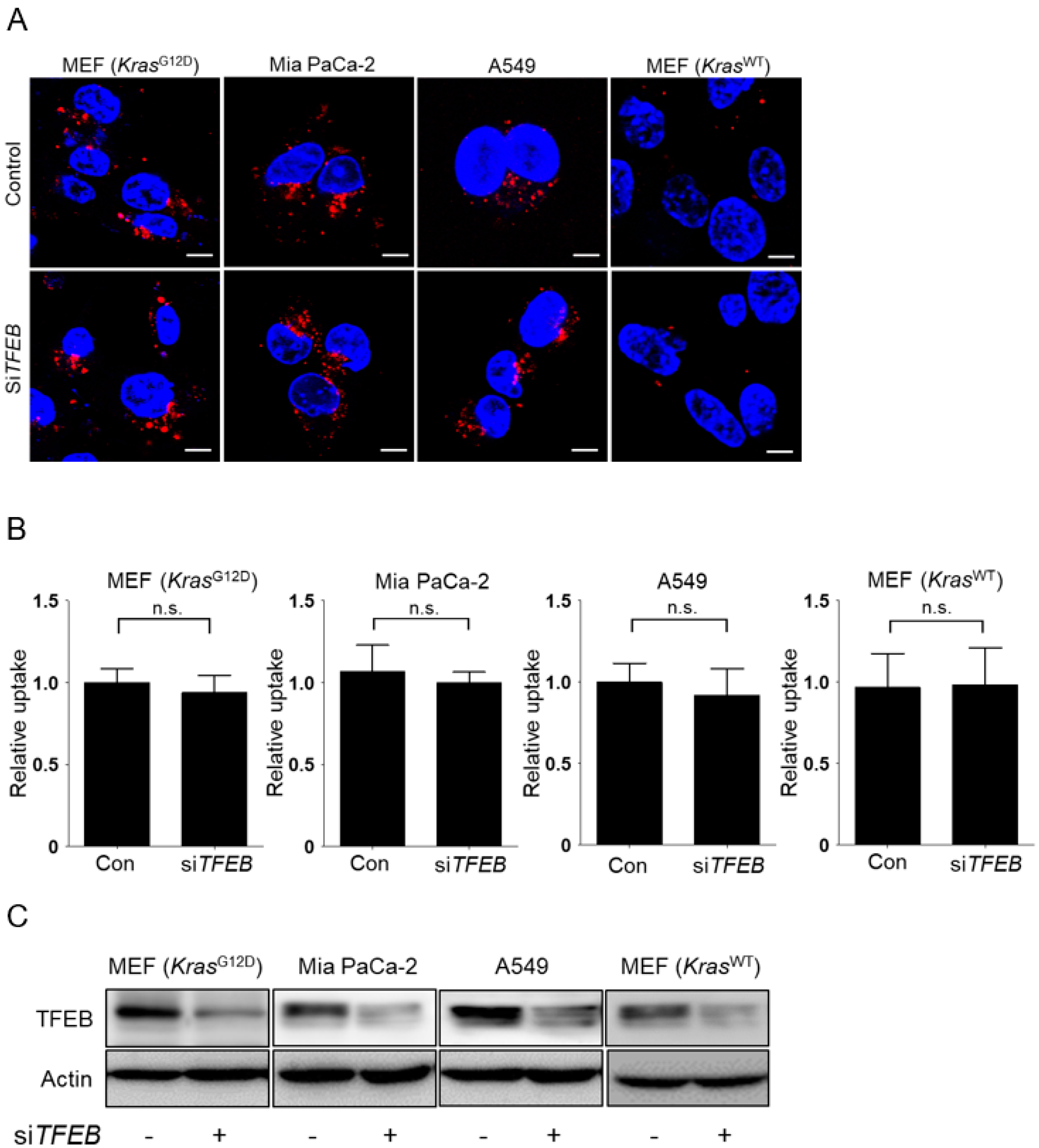Nutrients 10 01638 g002 Nutrients 10 01638 g002