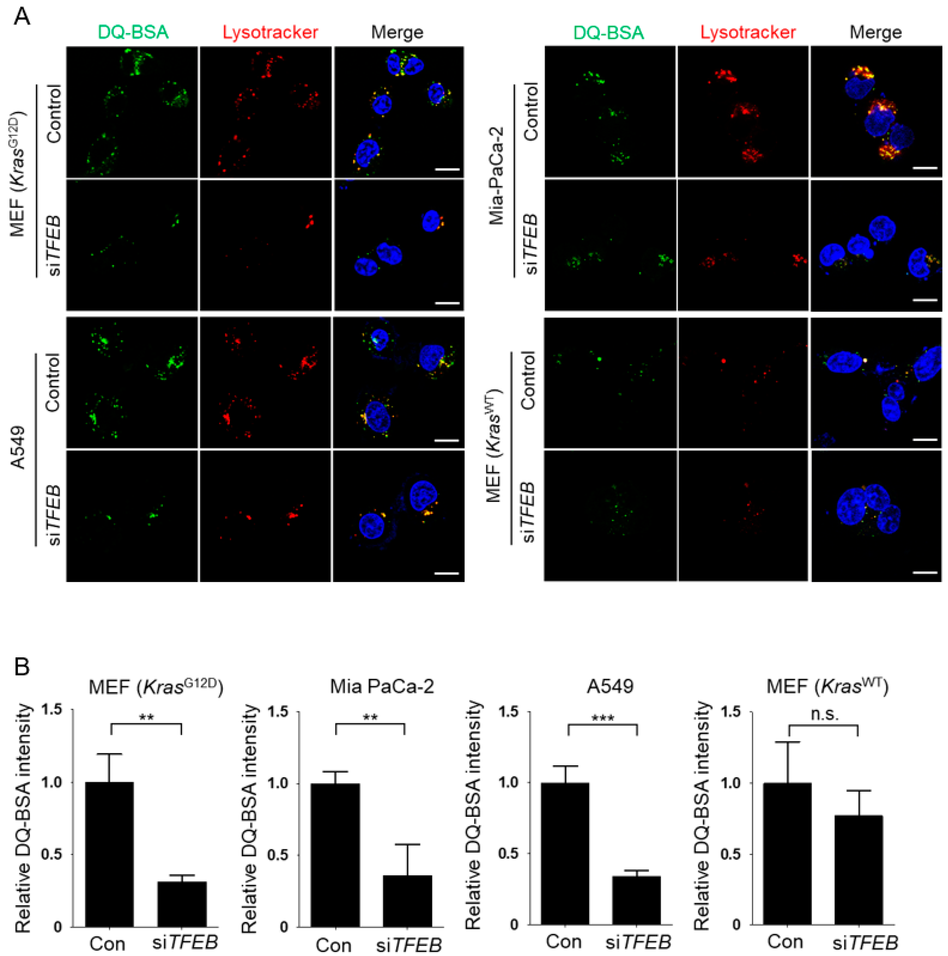 Nutrients 10 01638 g003 Nutrients 10 01638 g003