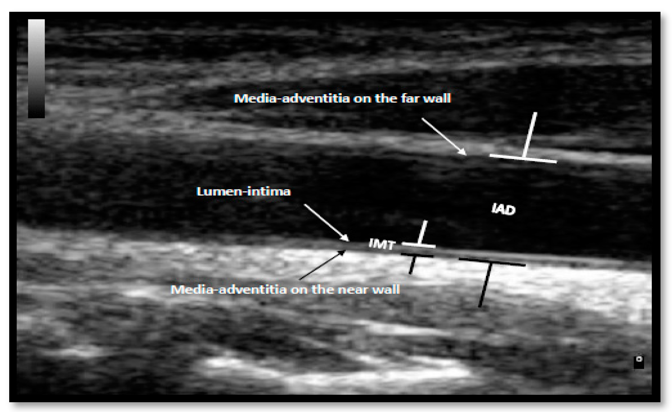 Nutrients 10 01642 g001