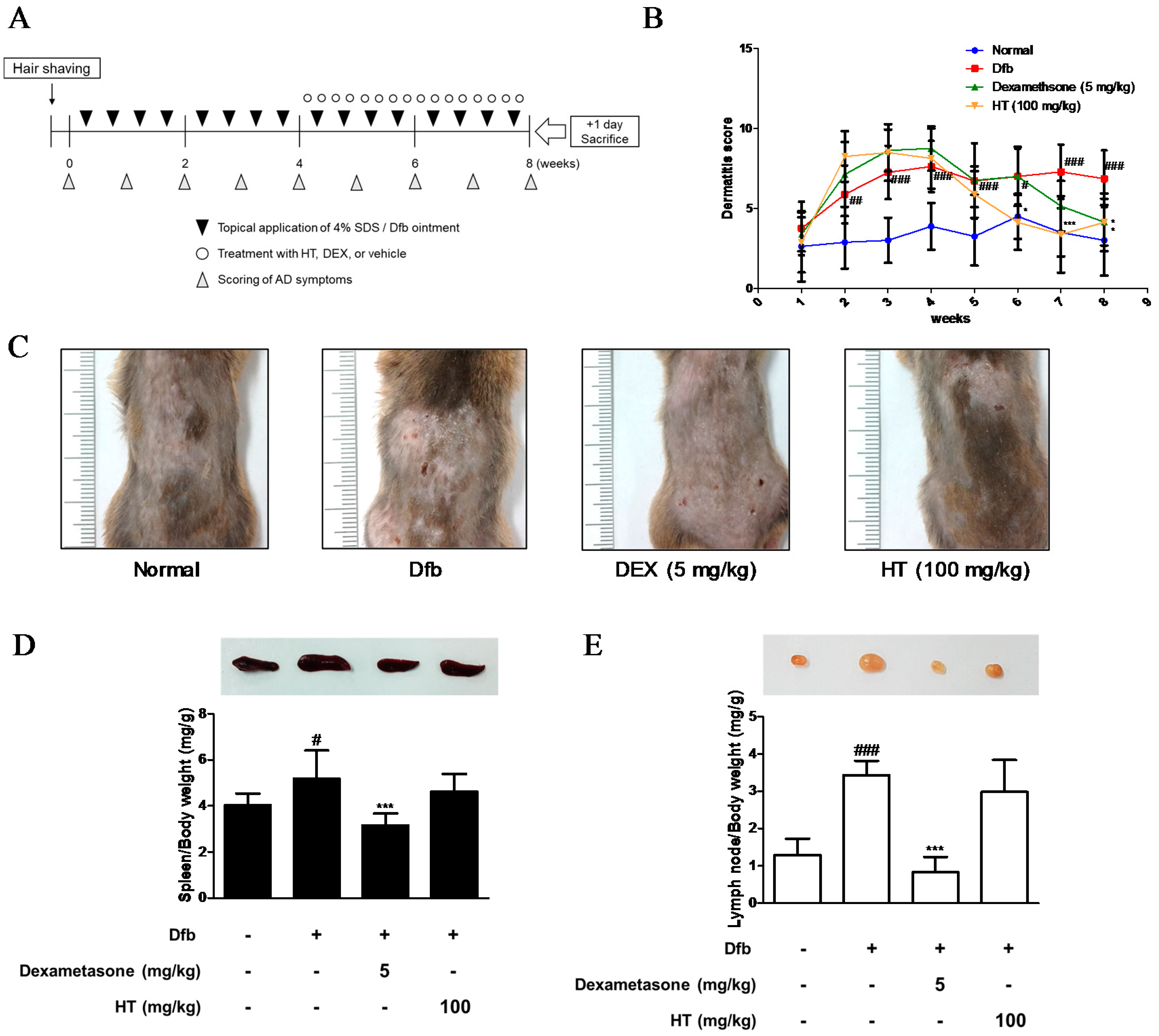 Nutrients 10 01657 g001 Nutrients 10 01657 g001