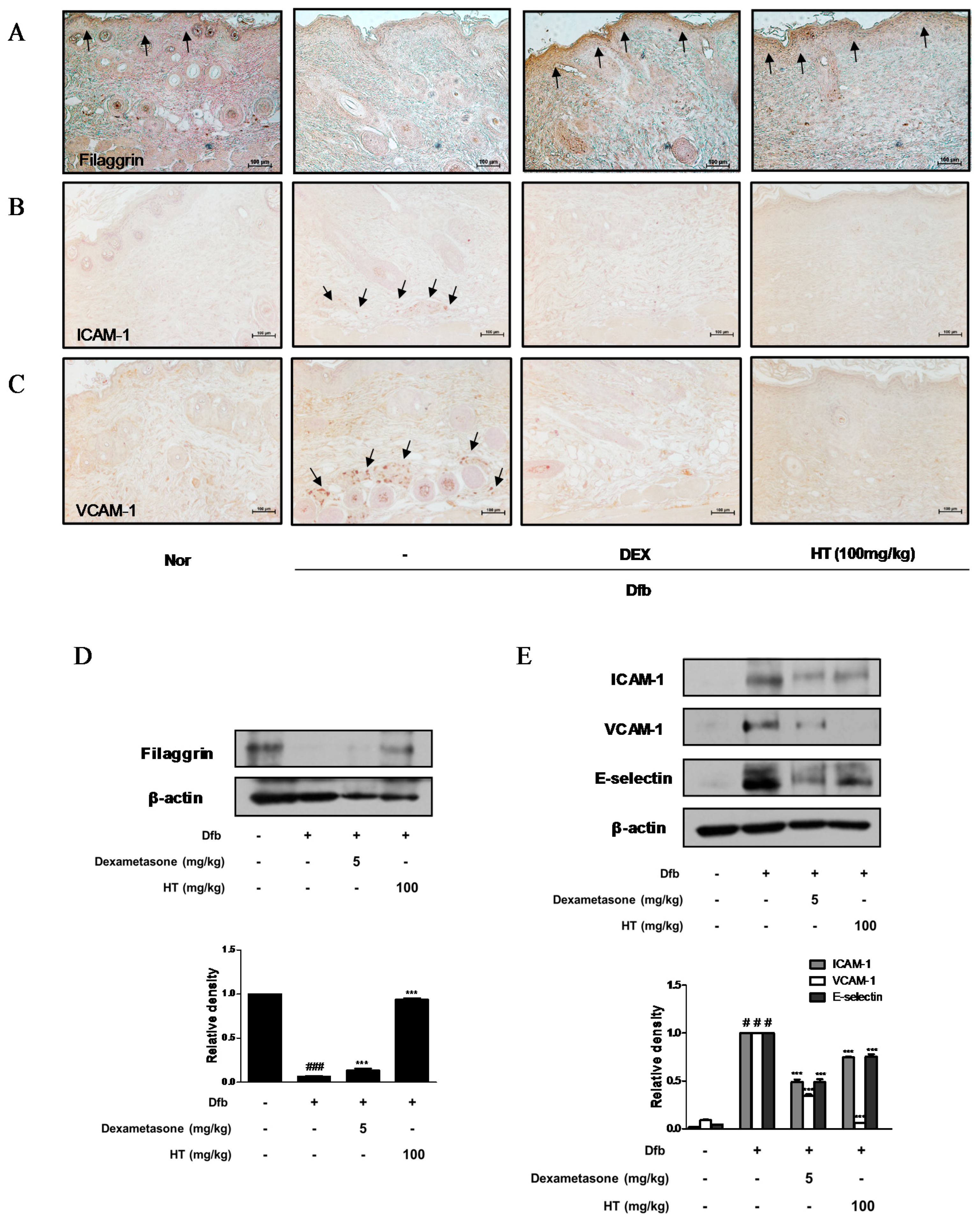 Nutrients 10 01657 g004 Nutrients 10 01657 g004