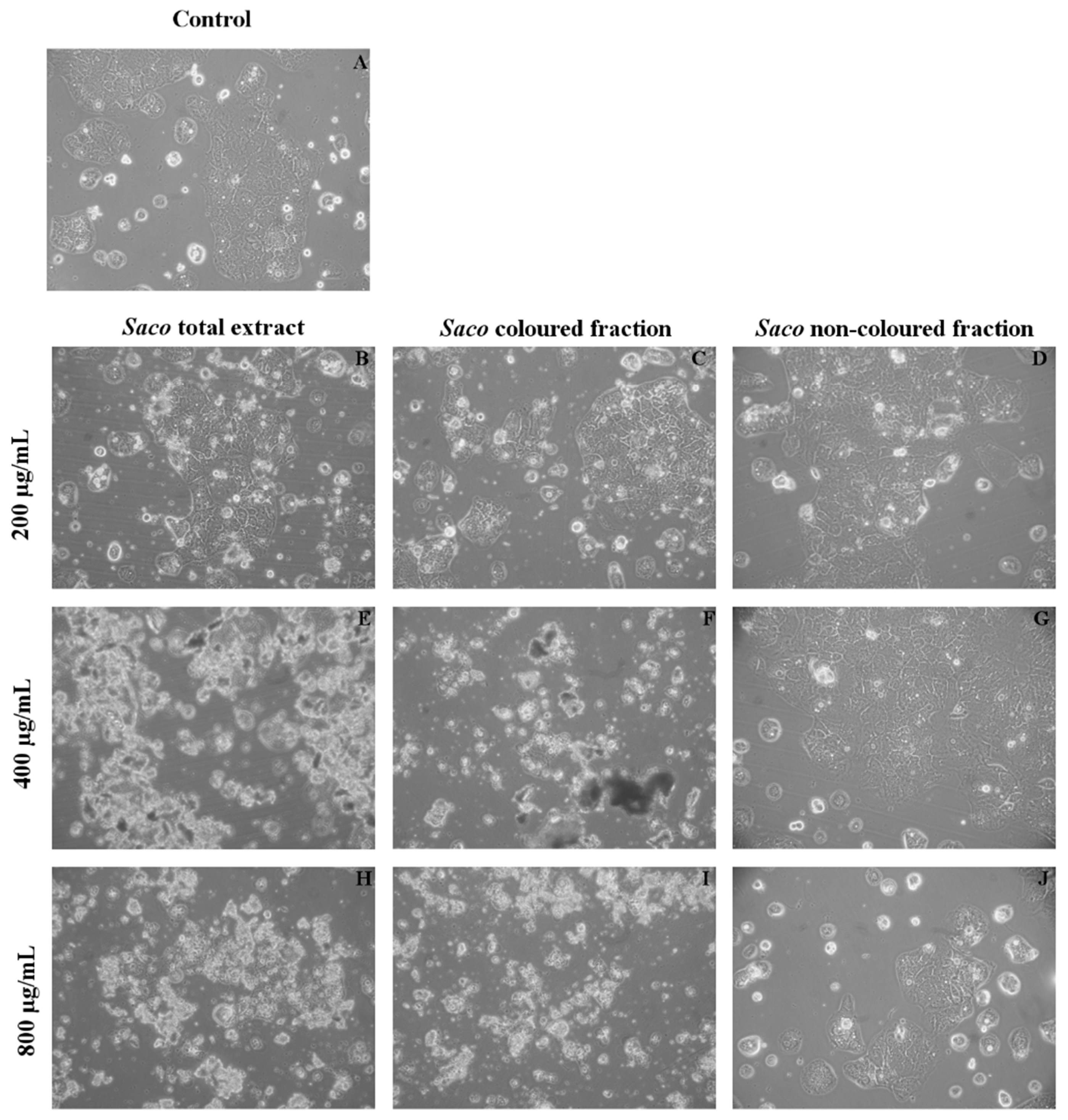 Nutrients 10 01688 g005 Nutrients 10 01688 g005
