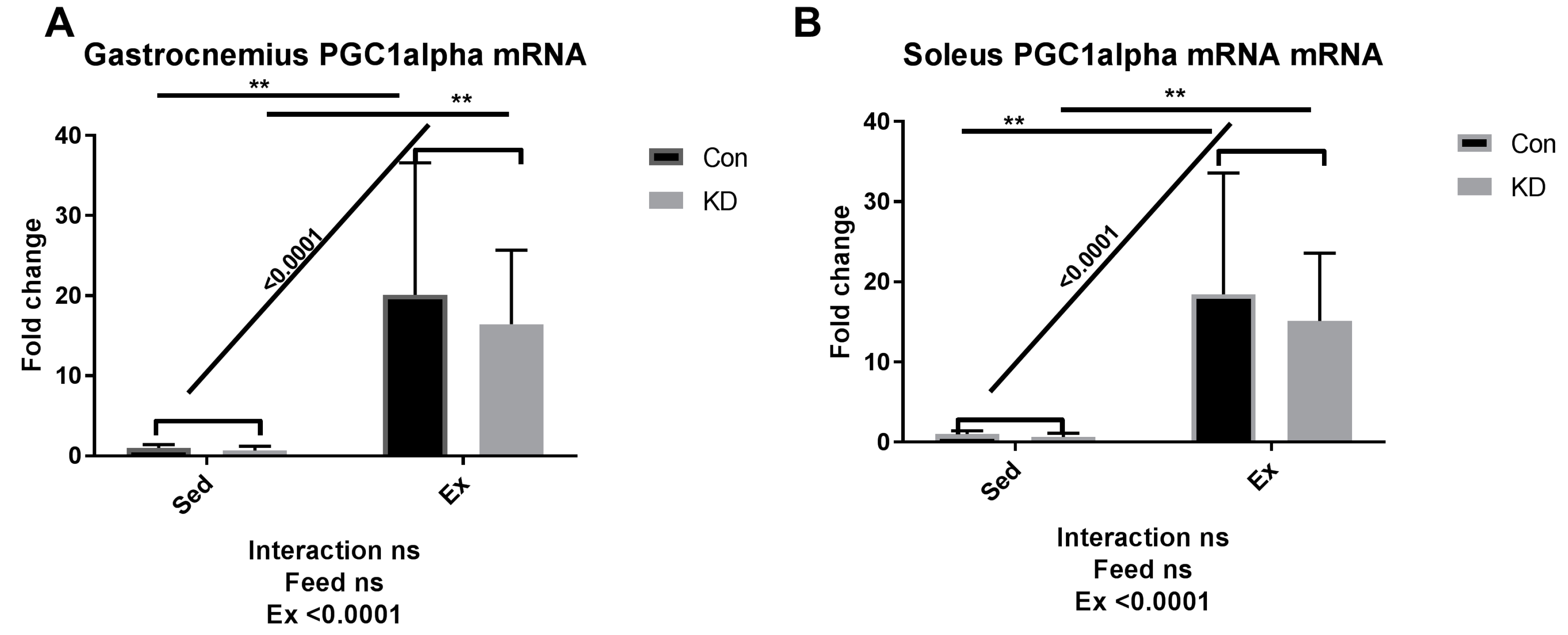 Nutrients 10 01696 g005 Nutrients 10 01696 g005