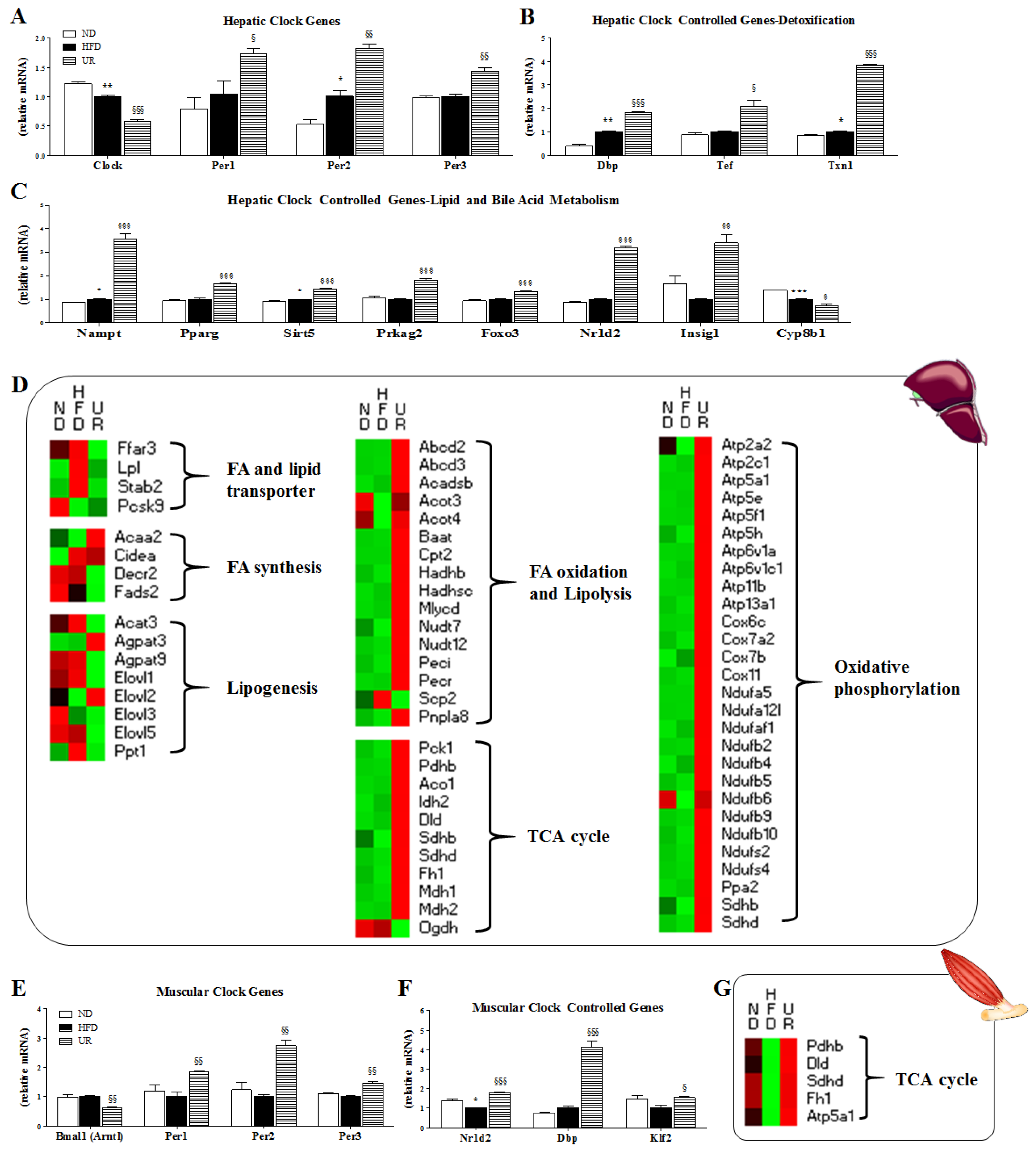 Nutrients 10 01719 g005 Nutrients 10 01719 g005