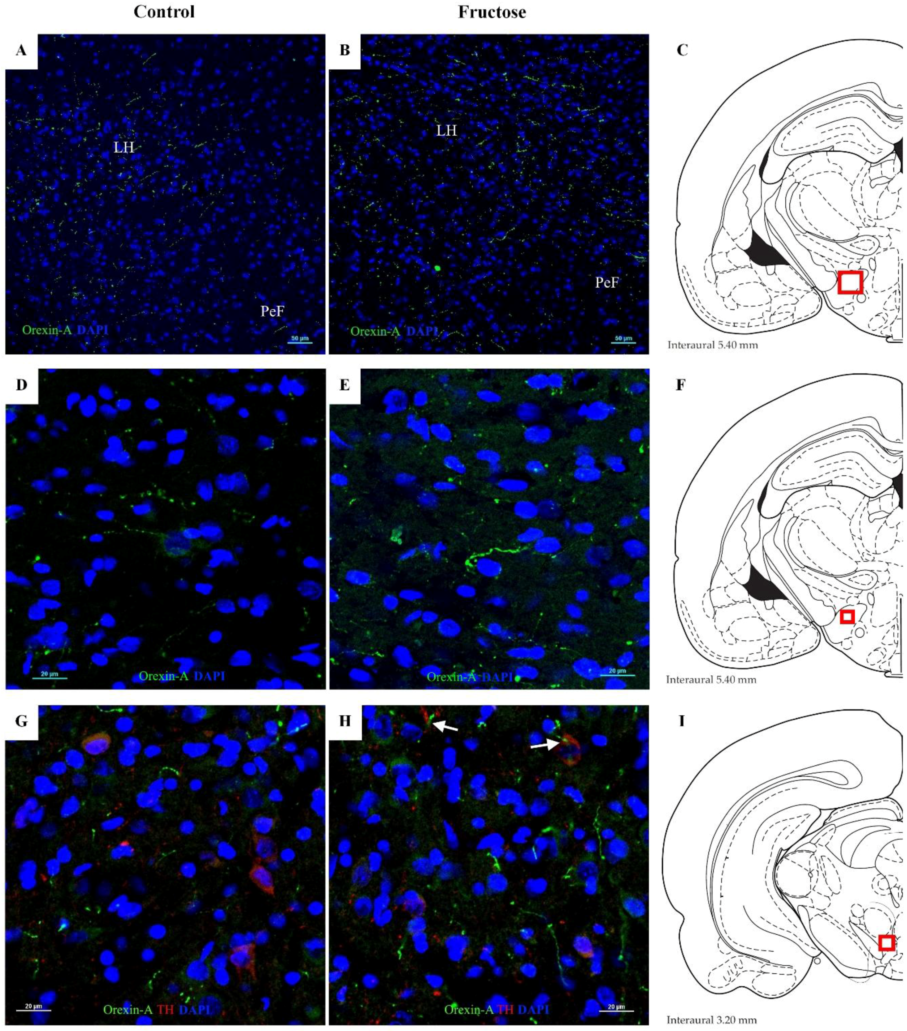 Nutrients 10 01722 g006 Nutrients 10 01722 g006